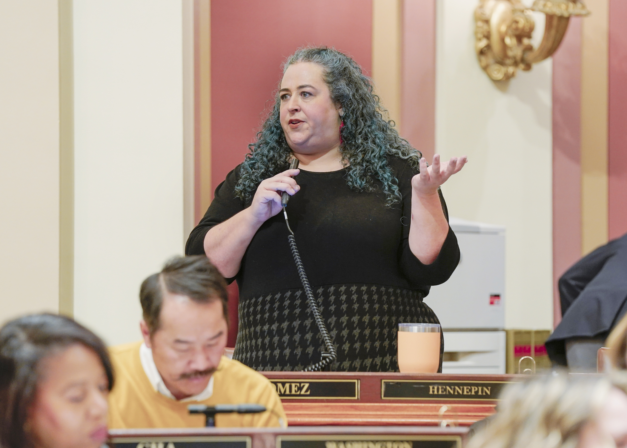 Rep. Aisha Gomez speaks on the House Floor Jan. 9 about HF31, a bill she sponsors that would conform certain Minnesota tax provisions with federal tax standards. The bill passed the House on a 132-0 vote. (Photo by Catherine Davis)