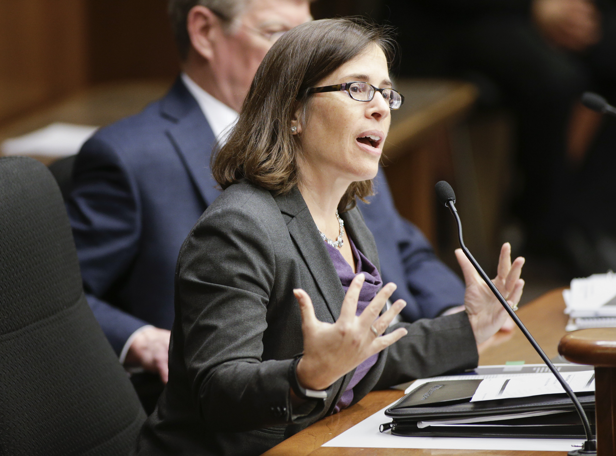 Deputy Legislative Auditor Judy Randall presents on past issues with the Legacy Amendment during the Jan. 16 meeting of the House Legacy Finance Division. Photo by Paul Battaglia