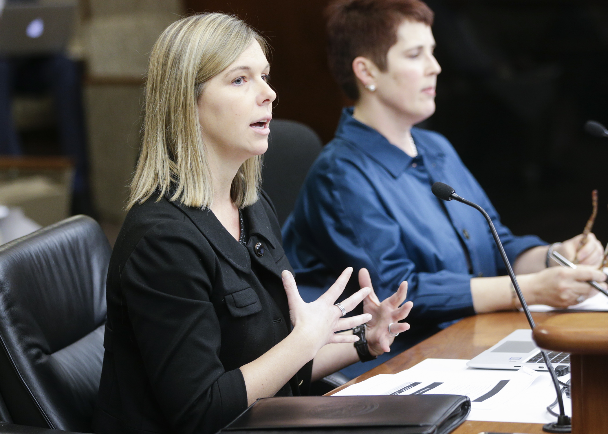 Stacie Christensen, director of the Department of Administration’s Data Practices Office, provides an overview of data practices to the House Judiciary Finance and Civil law Division Jan. 17. Photo by Paul Battaglia