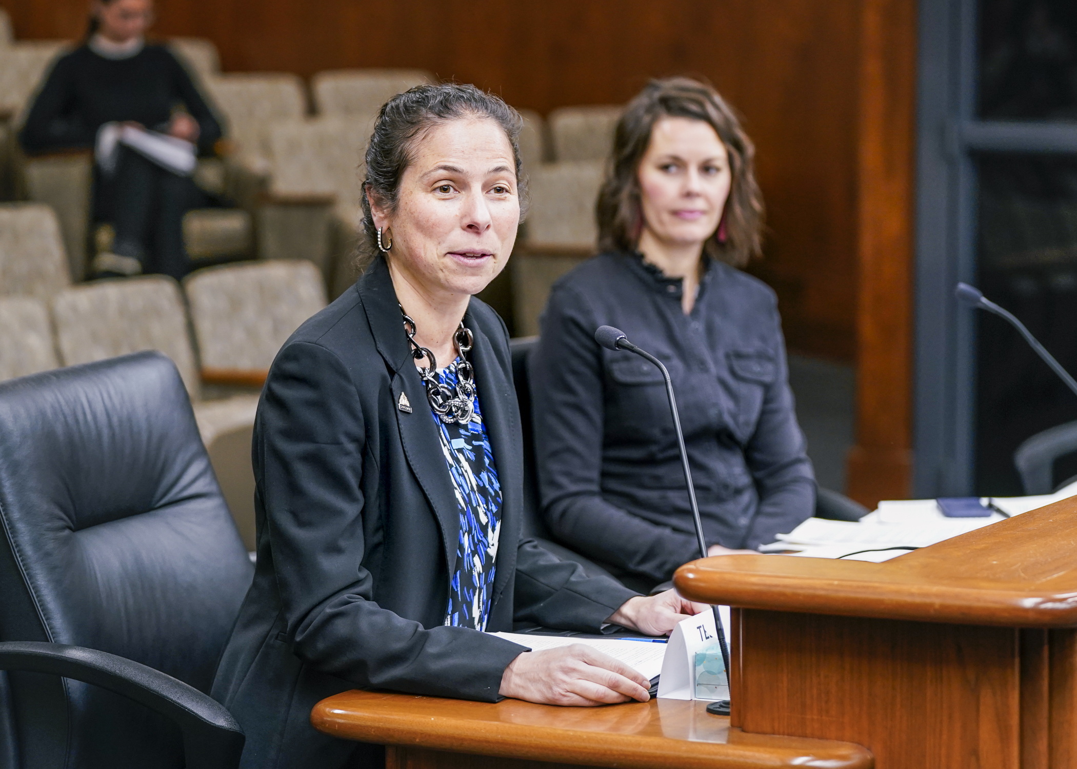 St. Paul City Councilmember Rebecca Noecker tells the House Labor and Industry Finance and Policy Committee Jan. 17 how earned sick and safe time, as proposed in HF19, has helped her city. (Photo by Catherine Davis)