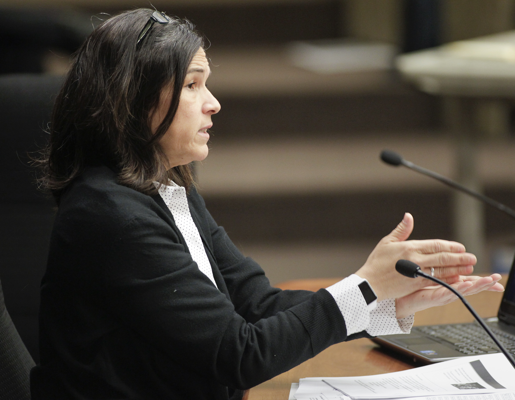 Education Commissioner Brenda Cassellius answers a member’s question during her Jan. 25 presentation of the governor’s education budget to the House Education Finance Committee. Photo by Paul Battaglia