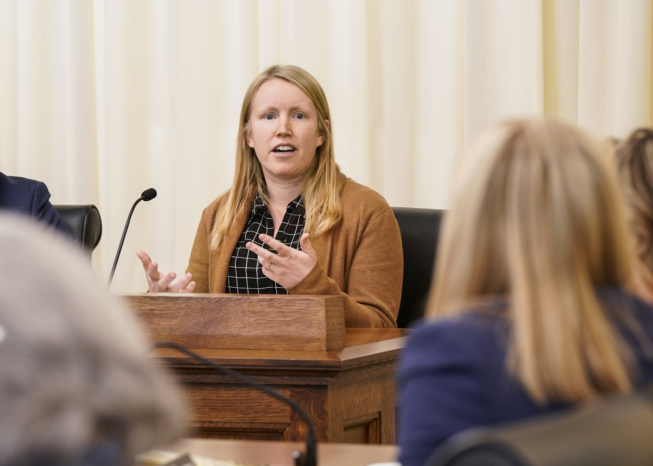 Maren Hulden, a supervising attorney at Legal Aid, testifies before the House Education Finance Committee Jan. 31 in support of HF18, a bill which would fully fund special education services in Minnesota school districts. (Photo by Catherine Davis)