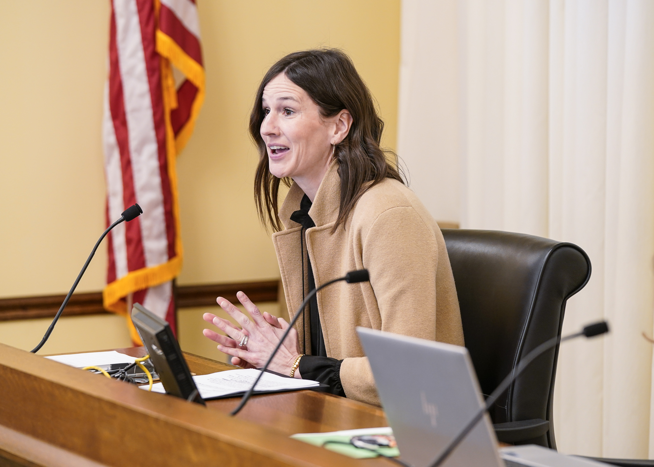 Nicole Woodward, special education director for the St. Croix River Education District, testifies before House lawmakers in support of HF8, which would fund more student support personnel in Minnesota schools. (Photo by Catherine Davis)