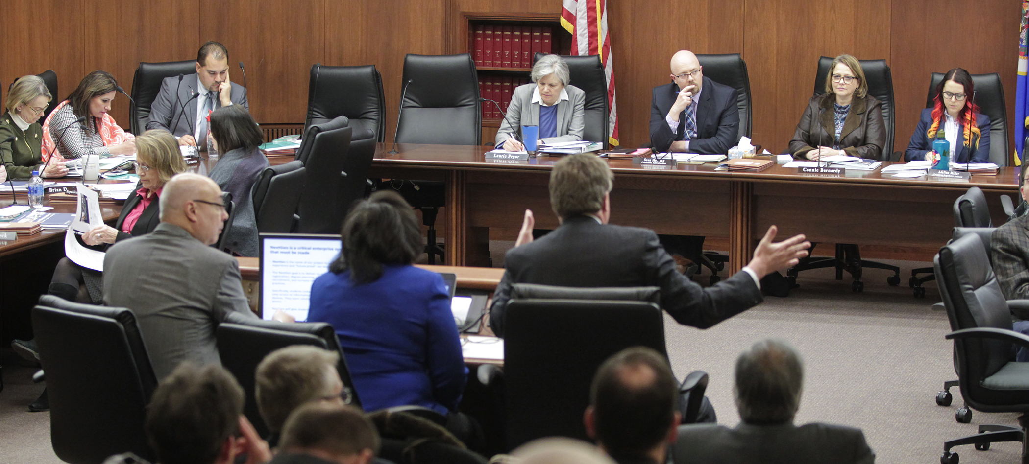 Members of the House Higher Education Finance and Policy Division listen to testifiers from Minnesota State outline provisions of the system’s technology budget request Feb. 6. Photo by Paul Battaglia
