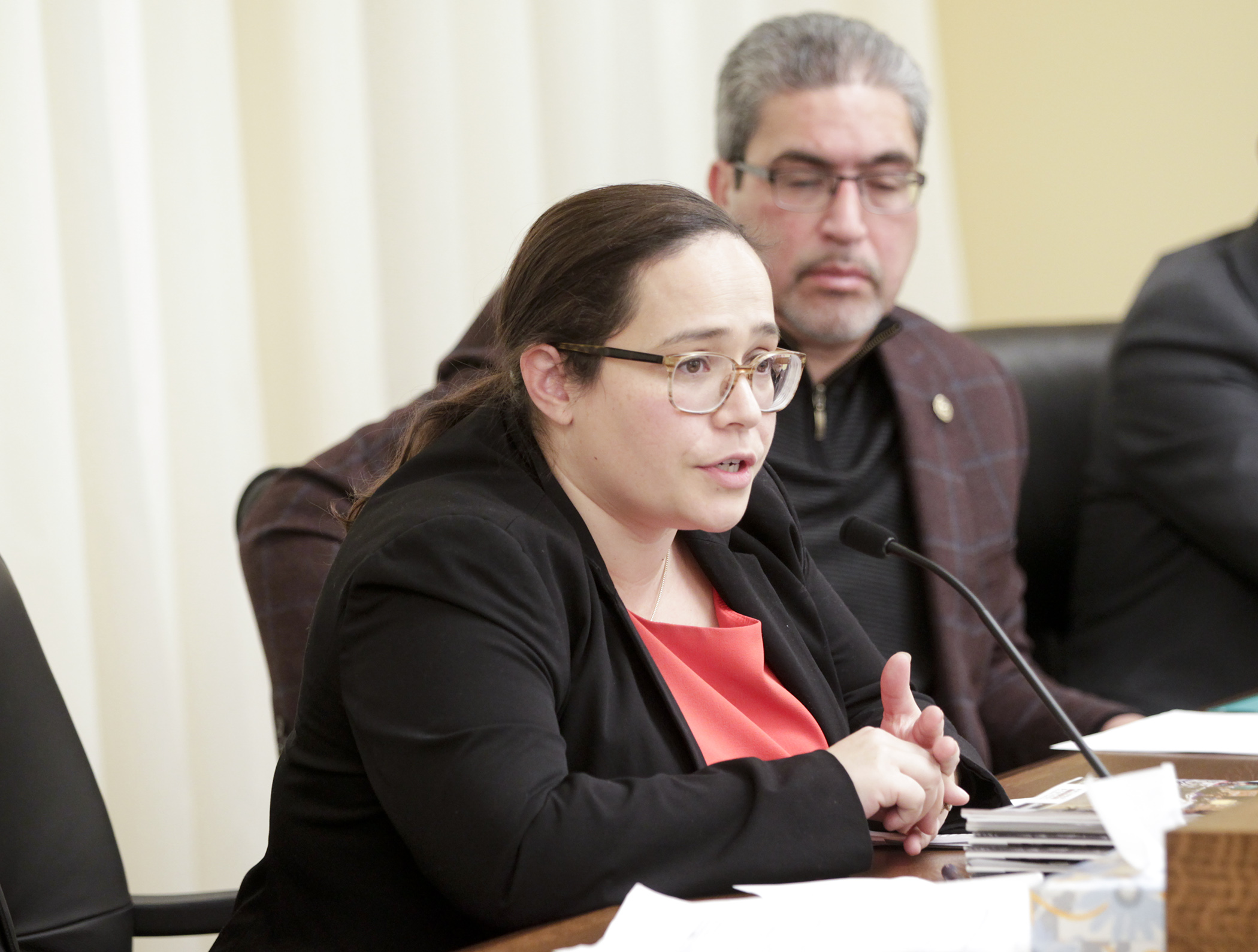 Jenny Srey relates her experience trying to seek post-conviction relief for her husband during Feb. 7 testimony on HF739, sponsored by Rep. Carlos Mariani, right. Photo by Paul Battaglia