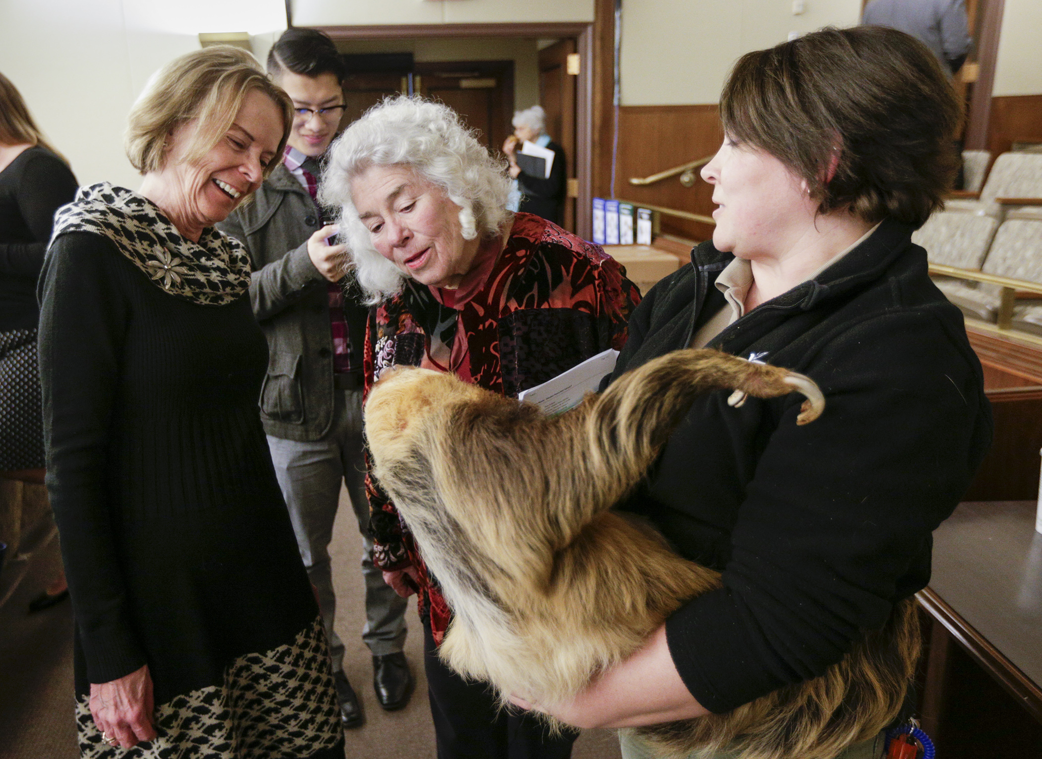 Rep. Sandy Layman, left, and Rep. Mary Murphy meet Chloe the Hoffman’s two-toed sloth from the Como Zoo, before the Feb. 13 House Legacy Funding Finance Committee meeting where zoo officials presented their Legacy Fund request. Chloe is held by Senior Zookeeper Allison Jungheim. Photo by Paul Battaglia