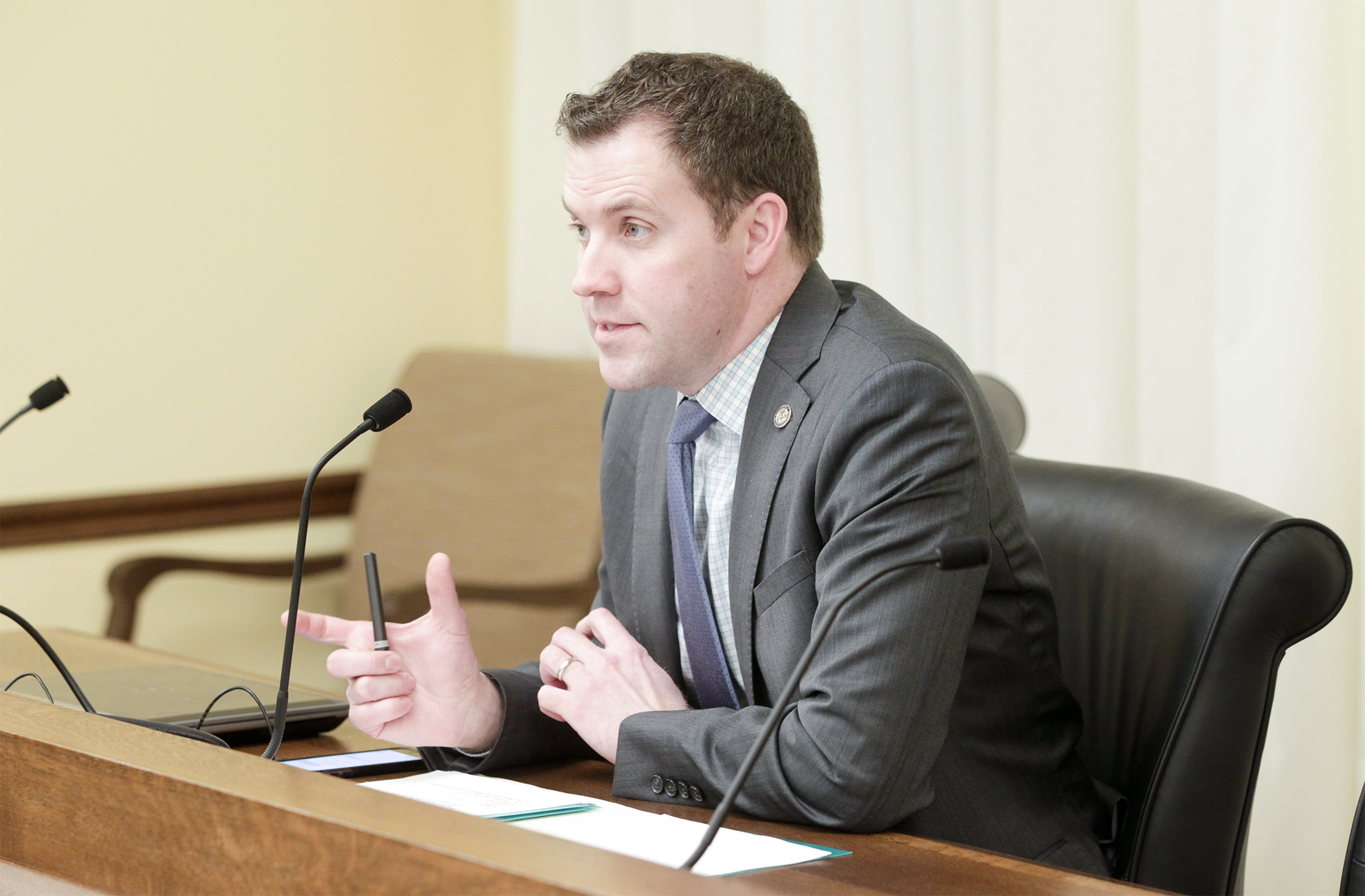 Rep. Jamie Long testifies in the House Public Safety and Criminal Justice Reform Finance and Policy Division on his bill, HF997. Photo by Paul Battaglia