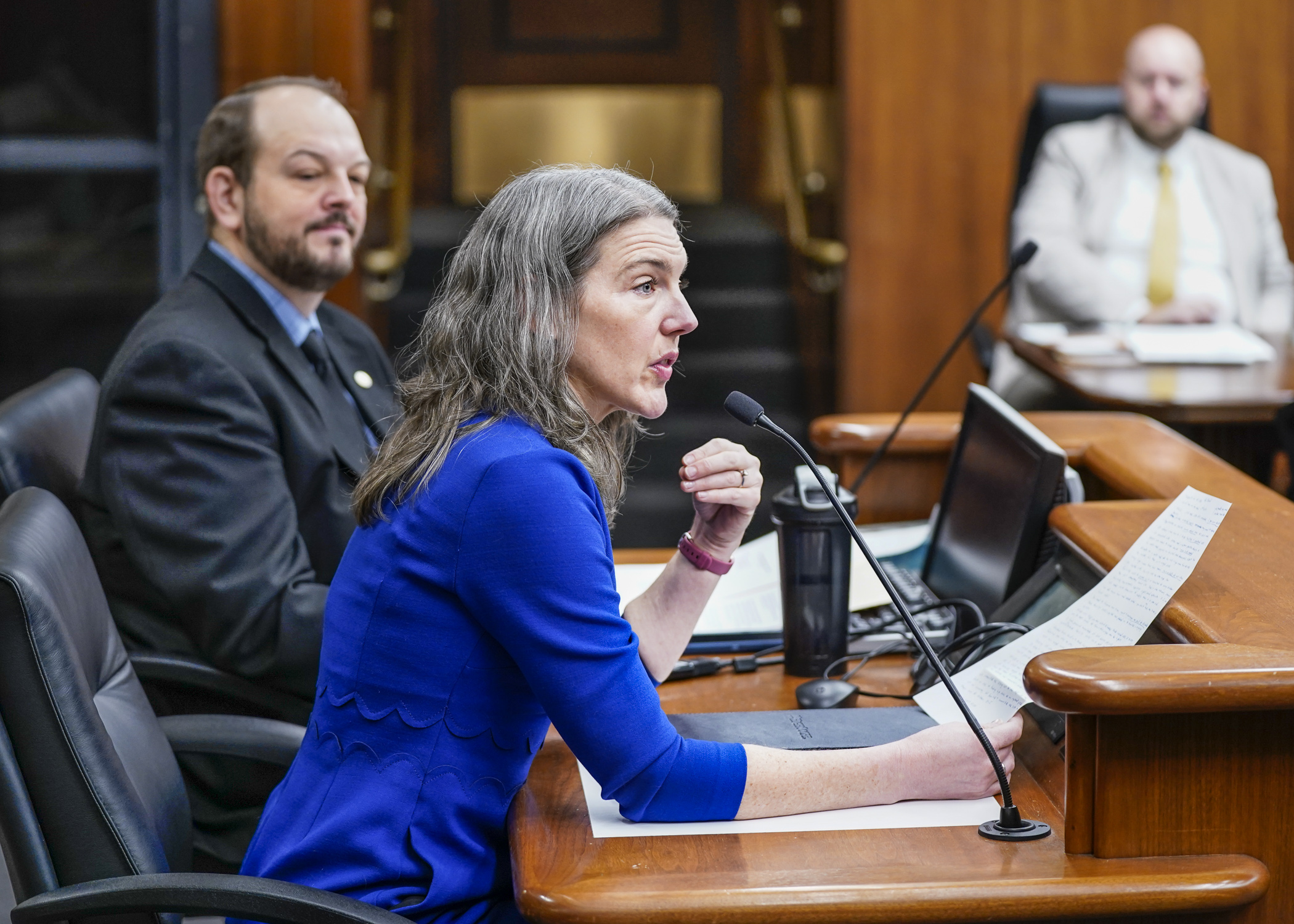 Clare Sanford, government relations chair of the Minnesota Child Care Association, testifies before the House economic development committee Feb. 15 in favor of HF1180. (Photo by Catherine Davis)