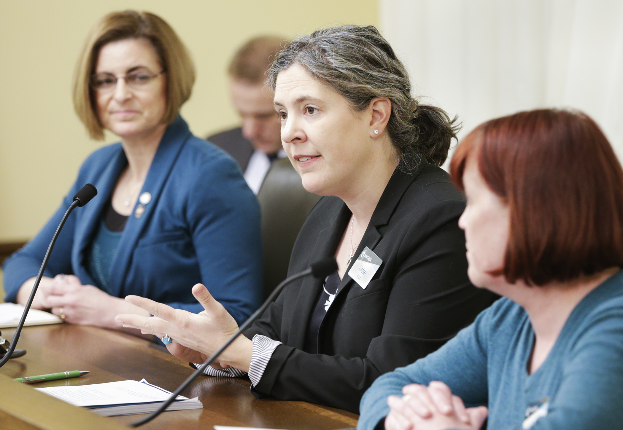 Lindsay Brice, law and policy director for the Minnesota Coalition Against Sexual Assault, testifies Feb. 18 before the House Public Safety and Criminal Justice Reform Finance and Policy Division. Sponsored by Rep. Marion O’Neill, left, HF2983 would, in part, provide funding for the examination, storage and retention of sexual assault kits by the BCA. Photo by Paul Battaglia 