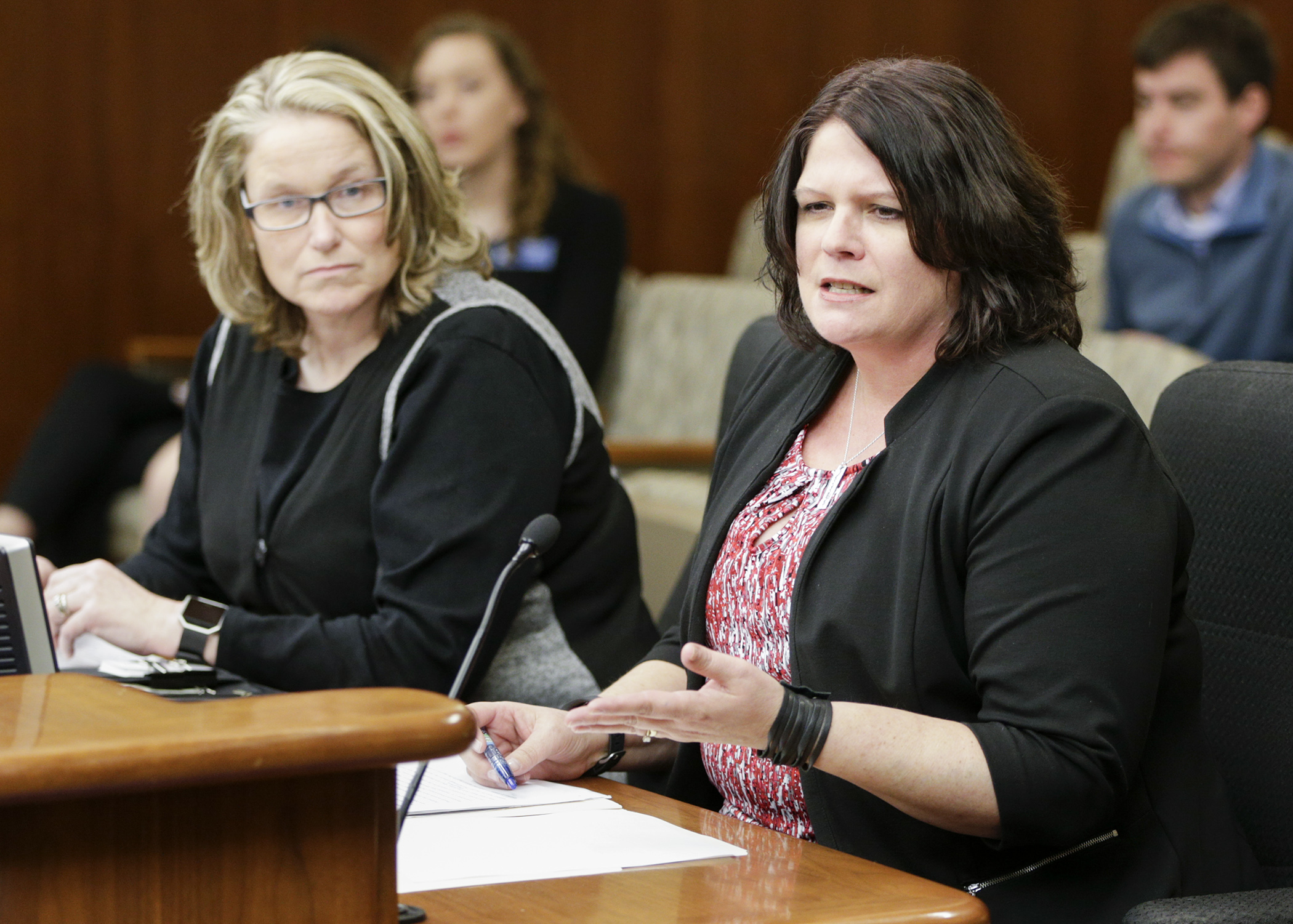 Rep. Cheryl Youakim discusses a bill she sponsors with the House State Government Finance Committee Feb. 21. HF433 would, in part, require the revenue commissioner to study options for providing a free electronic option for filing individual income taxes. Photo by Paul Battaglia