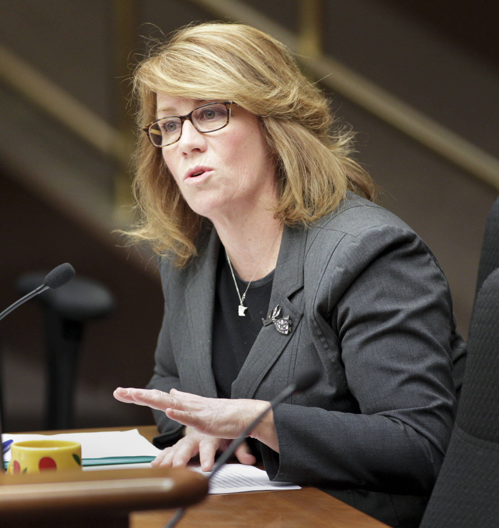 Rep. Erin Murphy discusses her bill, HF46, proposing universal all-day preschool, before the House Education Innovation Policy Committee Feb. 24. Photo by Paul Battaglia