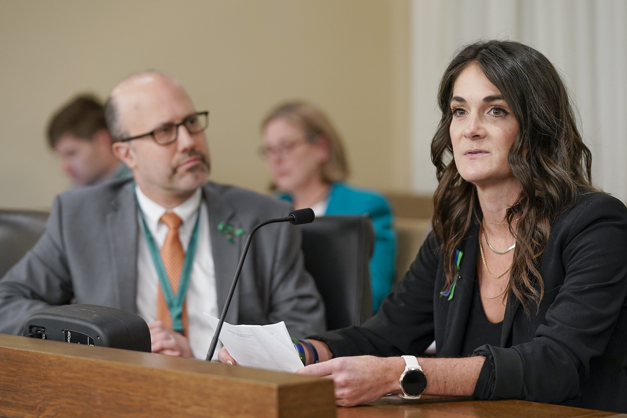 Annunciation Catholic School parent Kristen Neville testifies in support of HF3351. Rep. Dave Pinto sponsors the bill to repeal the state pre-emption of local governments for regulating firearms. (Photo by Michele Jokinen)