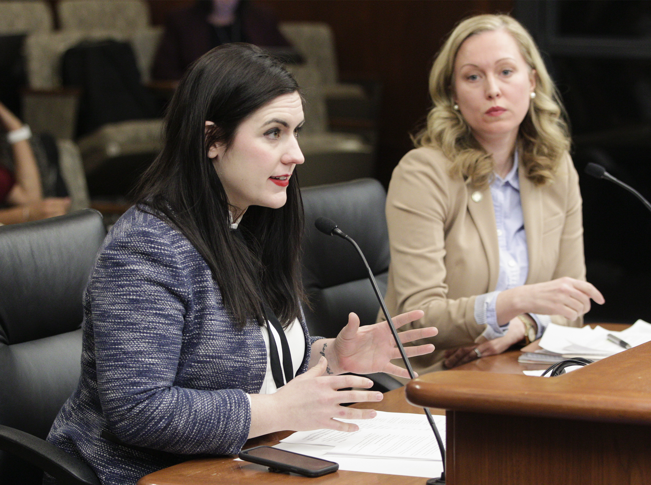 Maggie Meyer, executive director of NARAL Pro-Choice Minnesota, testifies before the House's judiciary division Feb. 27 on HF3749. The bill would, in part, prohibit interference to reproductive health services and facilities access. Photo by Paul Battaglia