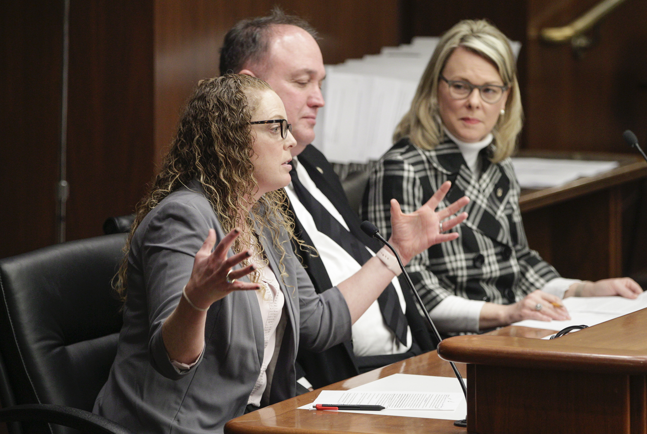 Tracey Fiereck, executive director of the Central Minnesota Educational Research and Development Council, testifies in support of a pair of bills to exempt from sales tax the sales made by school-associated student groups. Photo by Paul Battaglia