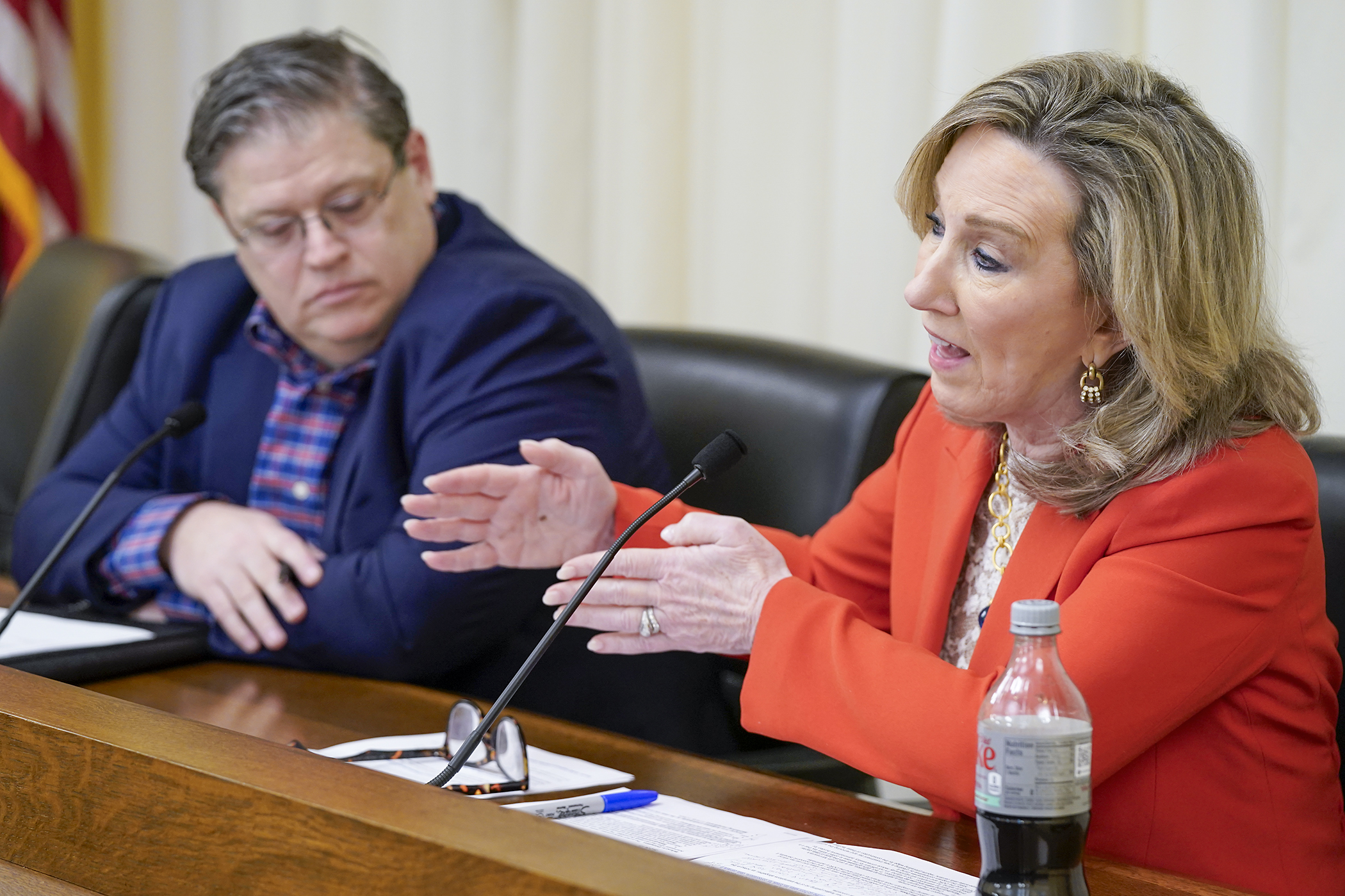Barbara Comstock, and advisor to NetChoice, and Bartlett Cleland, the organization’s general counsel and director of strategic initiatives, testify Feb. 27 before the House Taxes Committee for HF1277. The bill would modify current tax exemptions to include “large-scale data centers.” (Photo by Michele Jokinen)