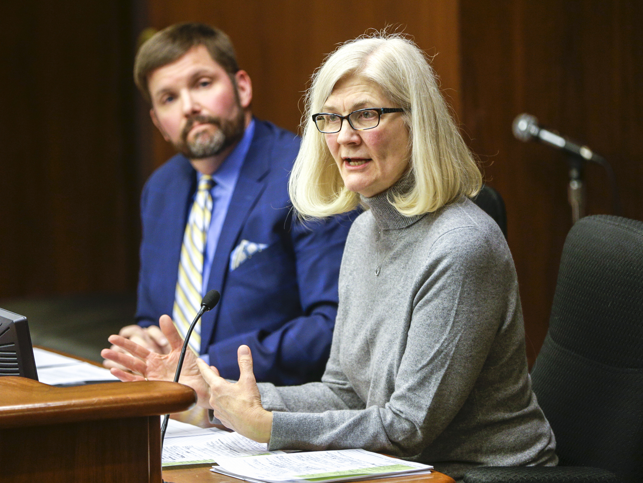 Lois Josefson, vice chair of the Regent Candidate Advisory Council, provides the House higher education committee with an overview of the University of Minnesota regent selection process. Seated with her is Dan Wolter, also a council vice chair. Photo by Paul Battaglia