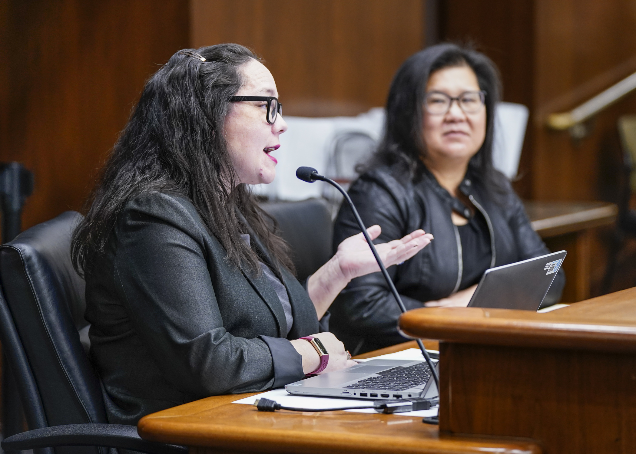 Human Rights Commissioner Rebecca Lucero testifies Tuesday before the House Judiciary Finance and Civil Law Committee in support of HF1625 that would prohibit employers from inquiring about past pay. (Photo by Catherine Davis)

