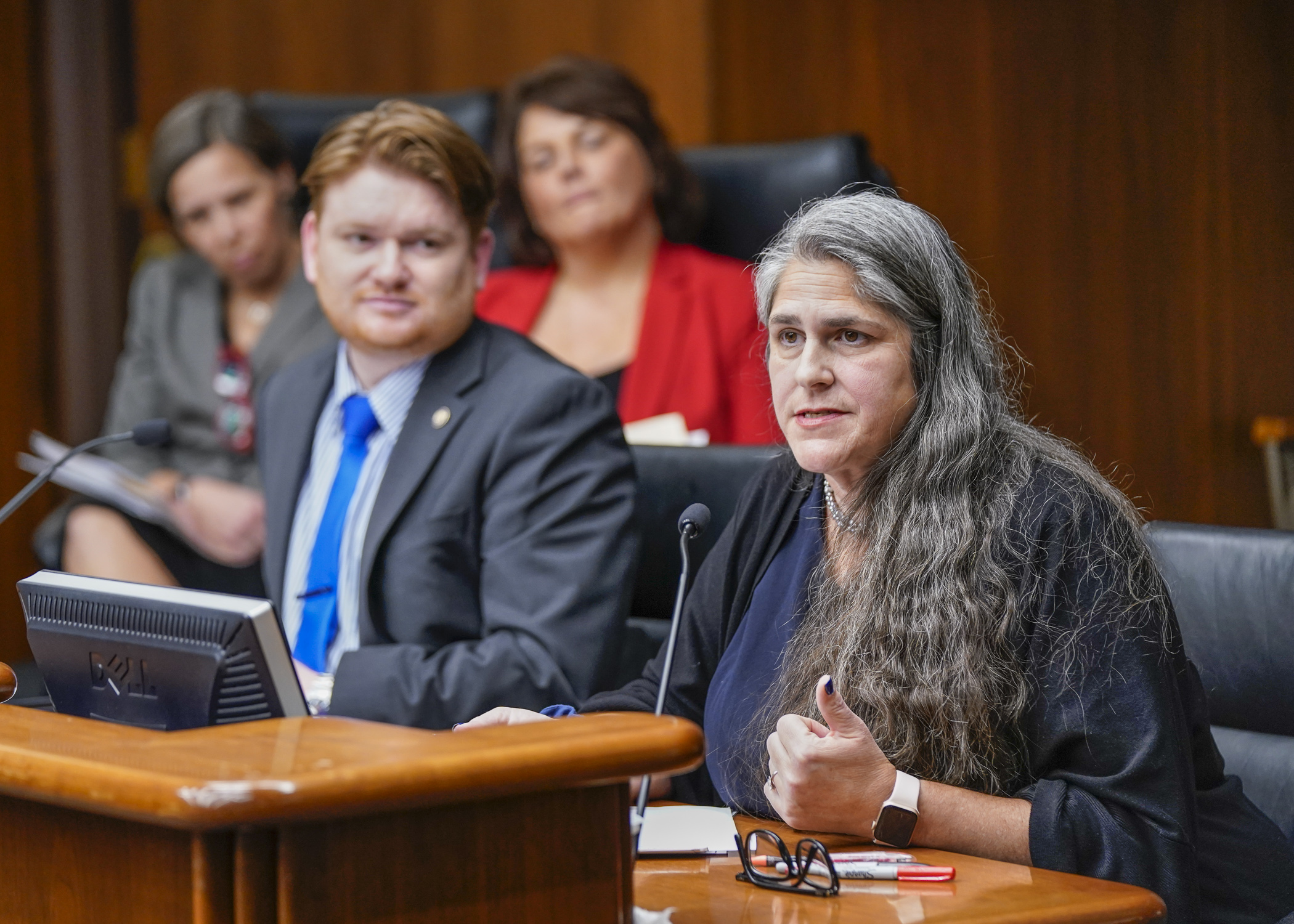 Diana McKeown, Metropolitan CERT director at the Great Plains Institute, speaks in support of HF2032, a bill to provide funding for clean energy resource teams. (Photo by Catherine Davis)