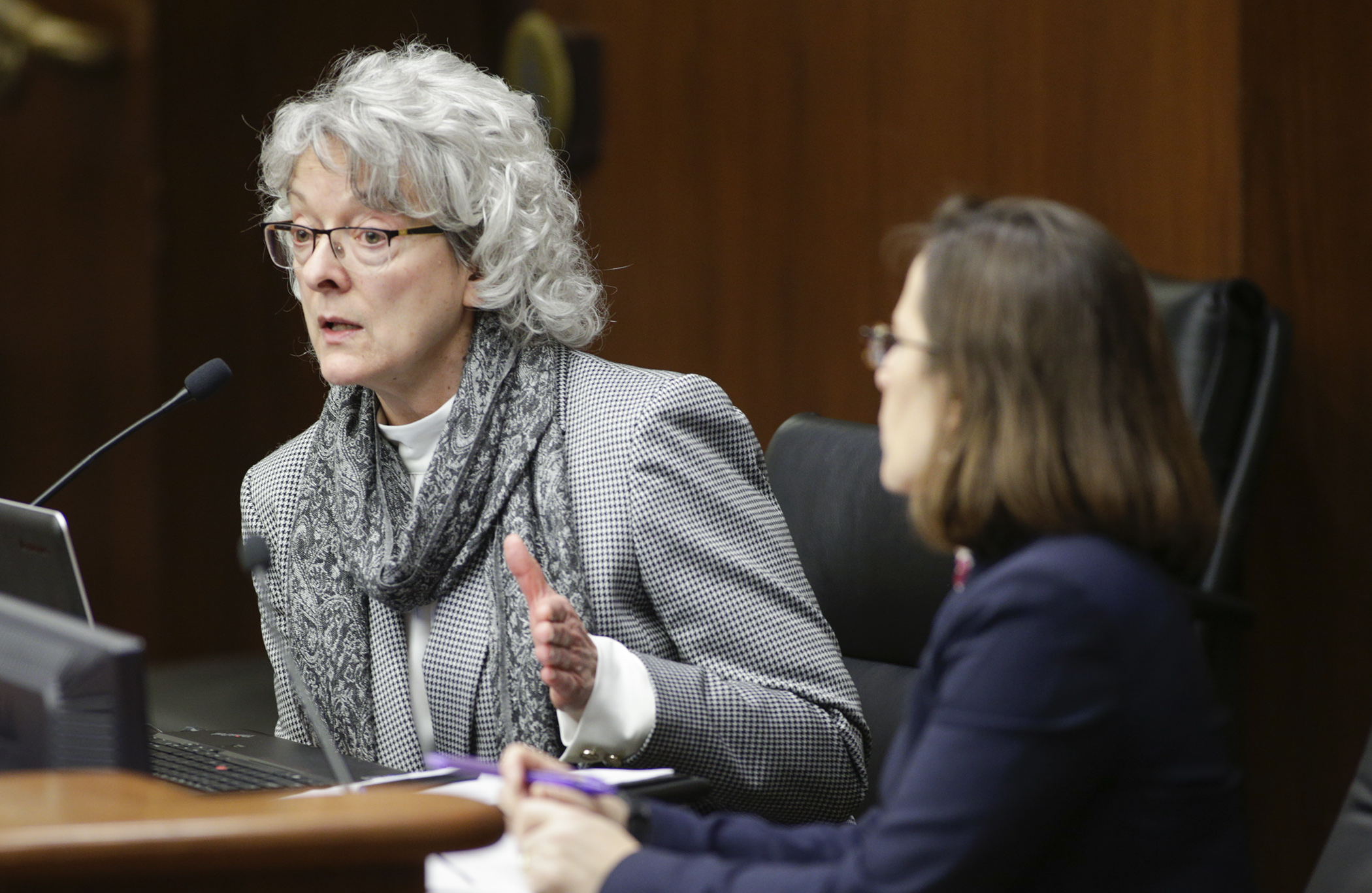 Jody Hauer, evaluation coordinator with the Office of the Legislative Auditor, testifies before the House Education Finance Division March 4 on the OLA’s report on compensatory aid. Photo by Paul Battaglia