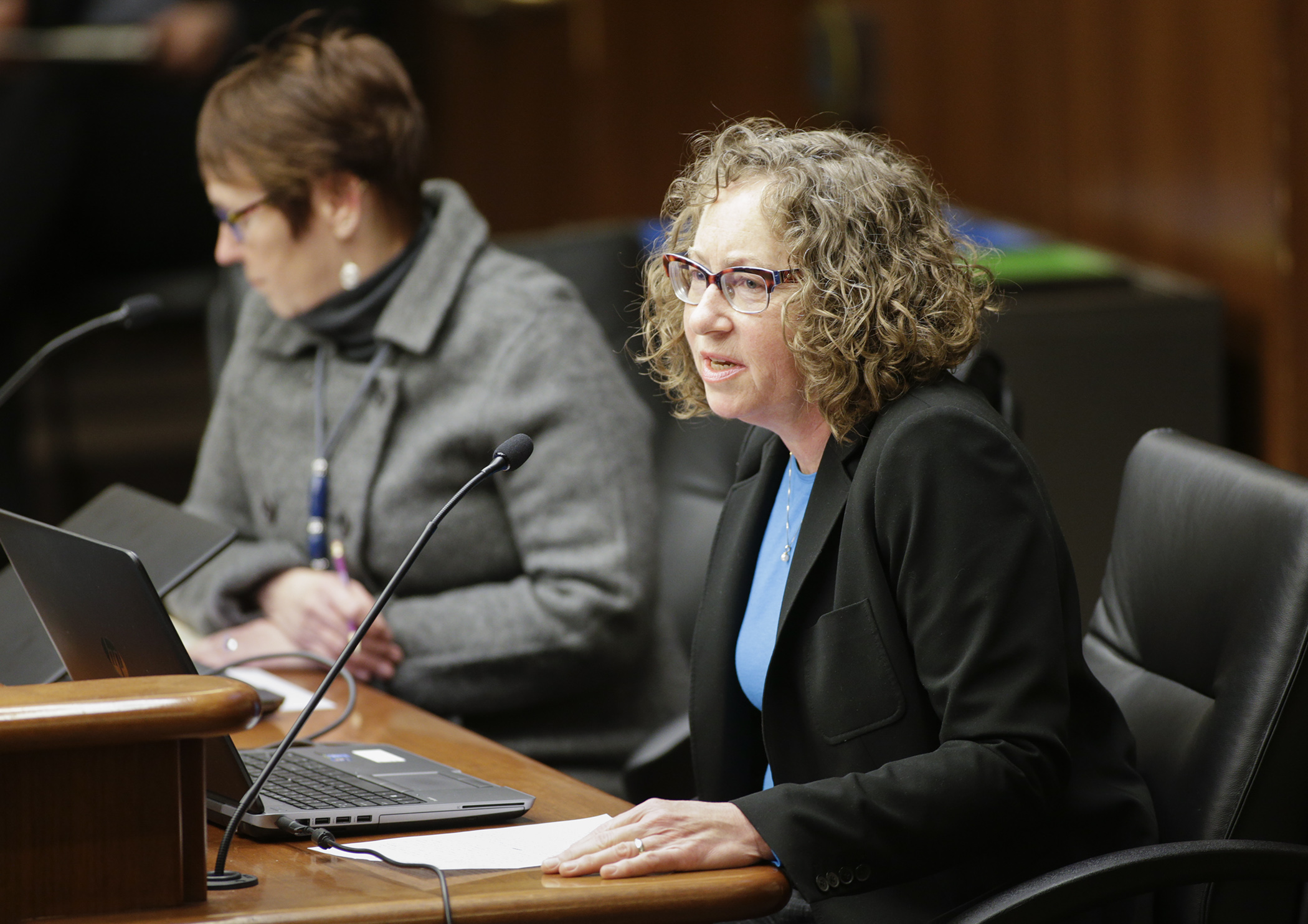 Joni Scheftel, president of the Minnesota Veterinary Medical Association, testifies on HF1530, sponsored by Rep. Jeanne Poppe, left. Photo by Paul Battaglia