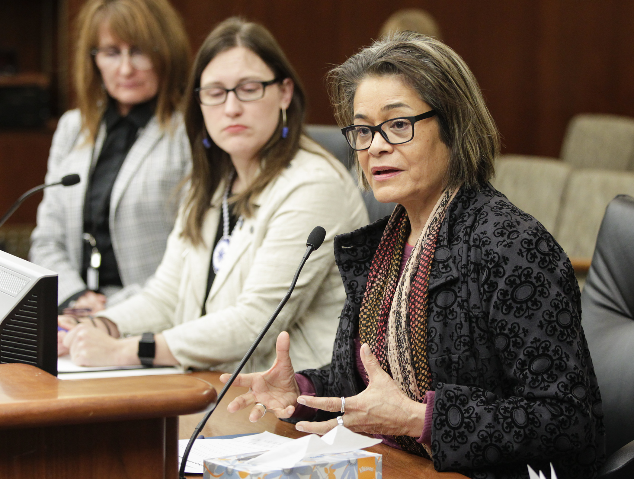 Deborah Jiang-Stein, CEO of the unPrison Project, testifies in the House Corrections Division on HF754 to establish a pilot project to facilitate bonding and literacy for incarcerated women and their children. Photo by Paul Battaglia