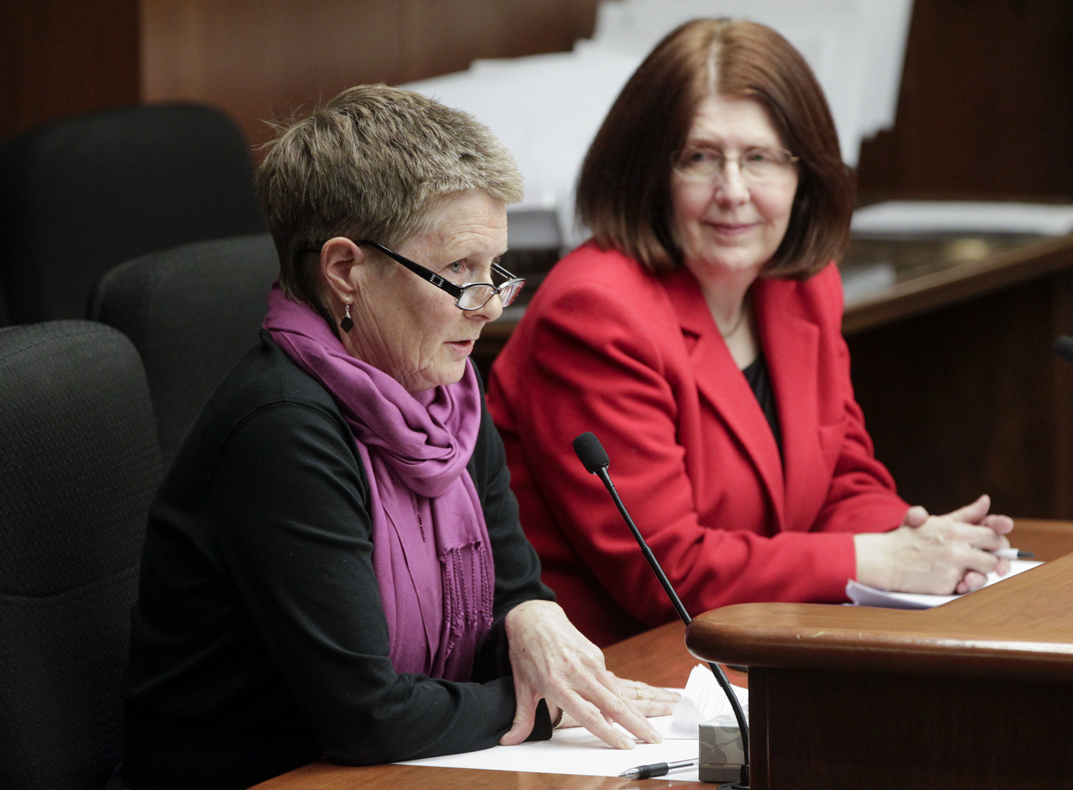 Mary Jo Majerus, owner of Healing Touch Spa, testifies March 7 before the House Taxes Committee on HF884, sponsored by Rep. Tina Liebling, right, which would, in part, exempt massage therapy from sales tax. Photo by Paul Battaglia