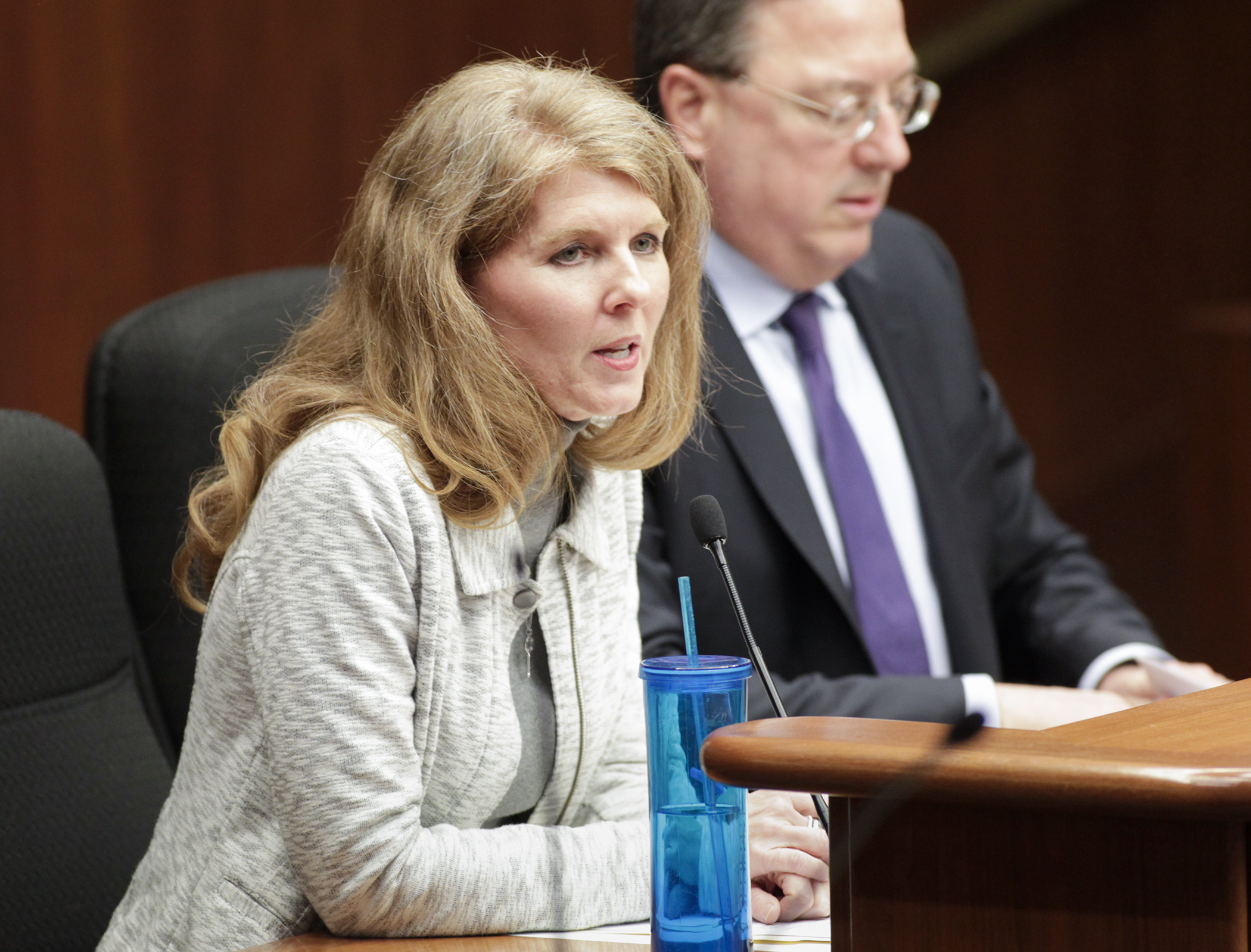 Rep. Regina Barr discusses HF1740, a bill she sponsors to authorize an on-sale liquor license at the new Minnesota Vikings headquarters set to open next year in Eagan. Photo by Paul Battaglia