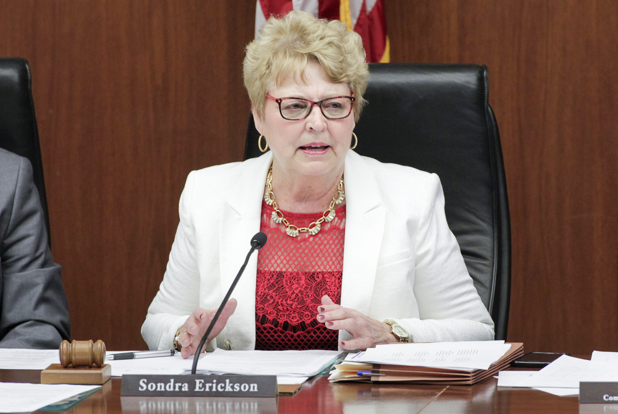 Rep. Sondra Erickson, chair of the House Education Innovation Policy Committee, discusses the omnibus education policy bill that she sponsors during a March 9 hearing. Photo by Paul Battaglia