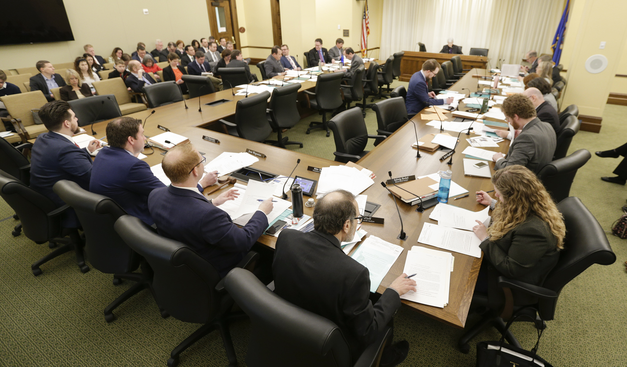 Members of the House Energy and Climate Finance and Policy Division begin work on Renewable Development Account allocations March 10. Photo by Paul Battaglia