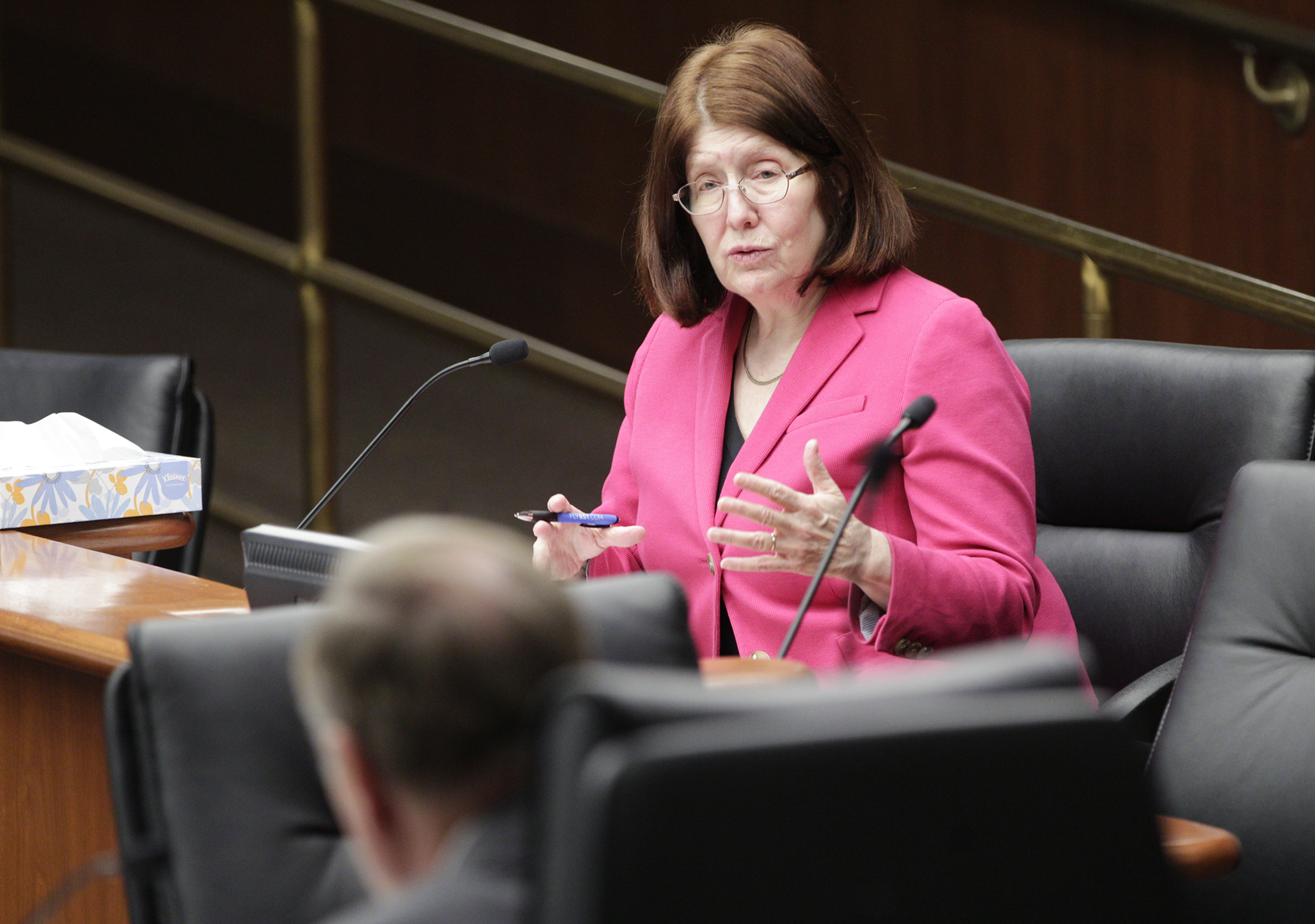 Rep. Tina Liebling answers questions from the House Government Operations Committee about HF4327, the bill she sponsors, that would authorize the governor to declare a peacetime public health emergency. Photo by Paul Battaglia