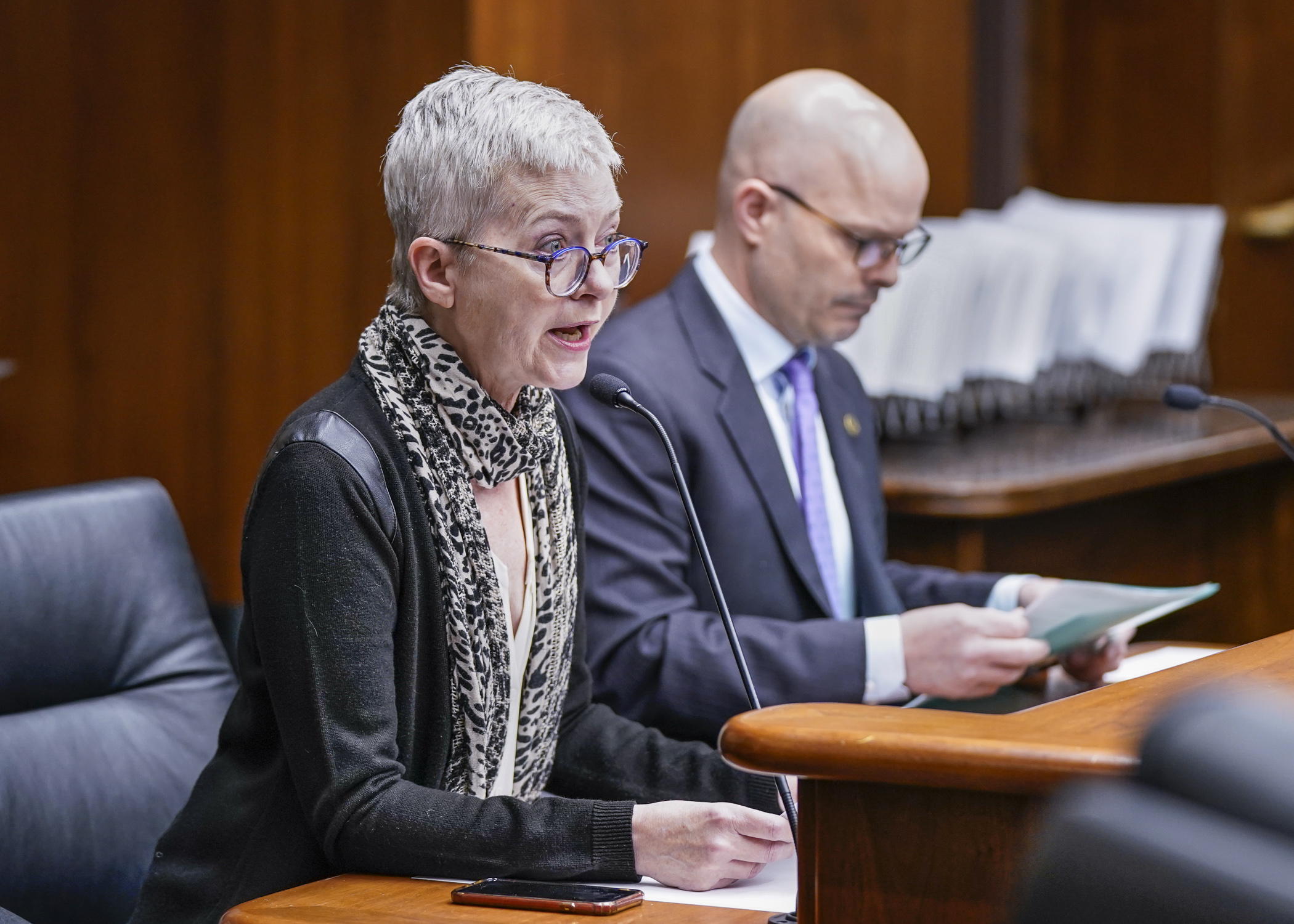 Melodie Bahan, executive director for Minnesota Film and TV, testifies before the House Economic Development Finance and Policy Committee March 10 in support of HF2059, which would extend film production tax credits in Minnesota. (Photo by Catherine Davis)