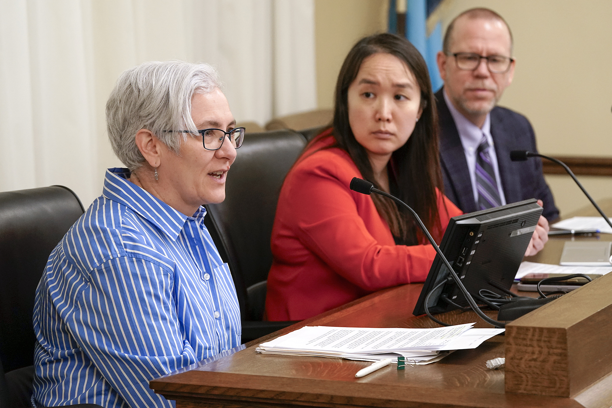 Nan Madden, director of the Minnesota Budget Project, testifies before the House Taxes Committee March 10 in support of HF2499, sponsored by Rep. Liz Lee. (Photo by Michele Jokinen)
