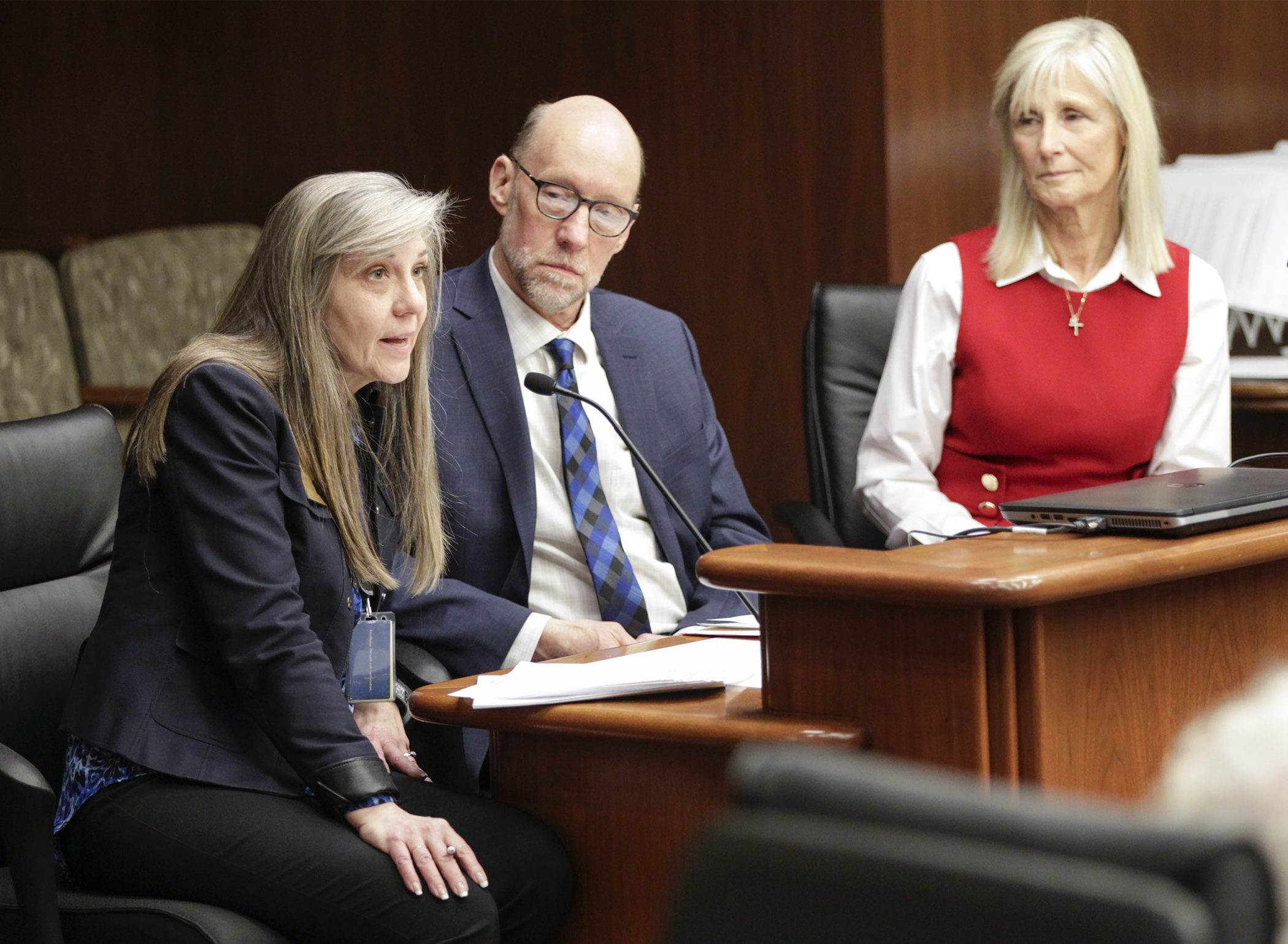 Cheryl Polzin, treasurer of the Wayzata School Board, testifies on HF521, sponsored by Rep. Jim Davnie, center, to appropriate an unspecified amount of state bond proceeds to fund another round of school safety grants. Photo by Paul Battaglia