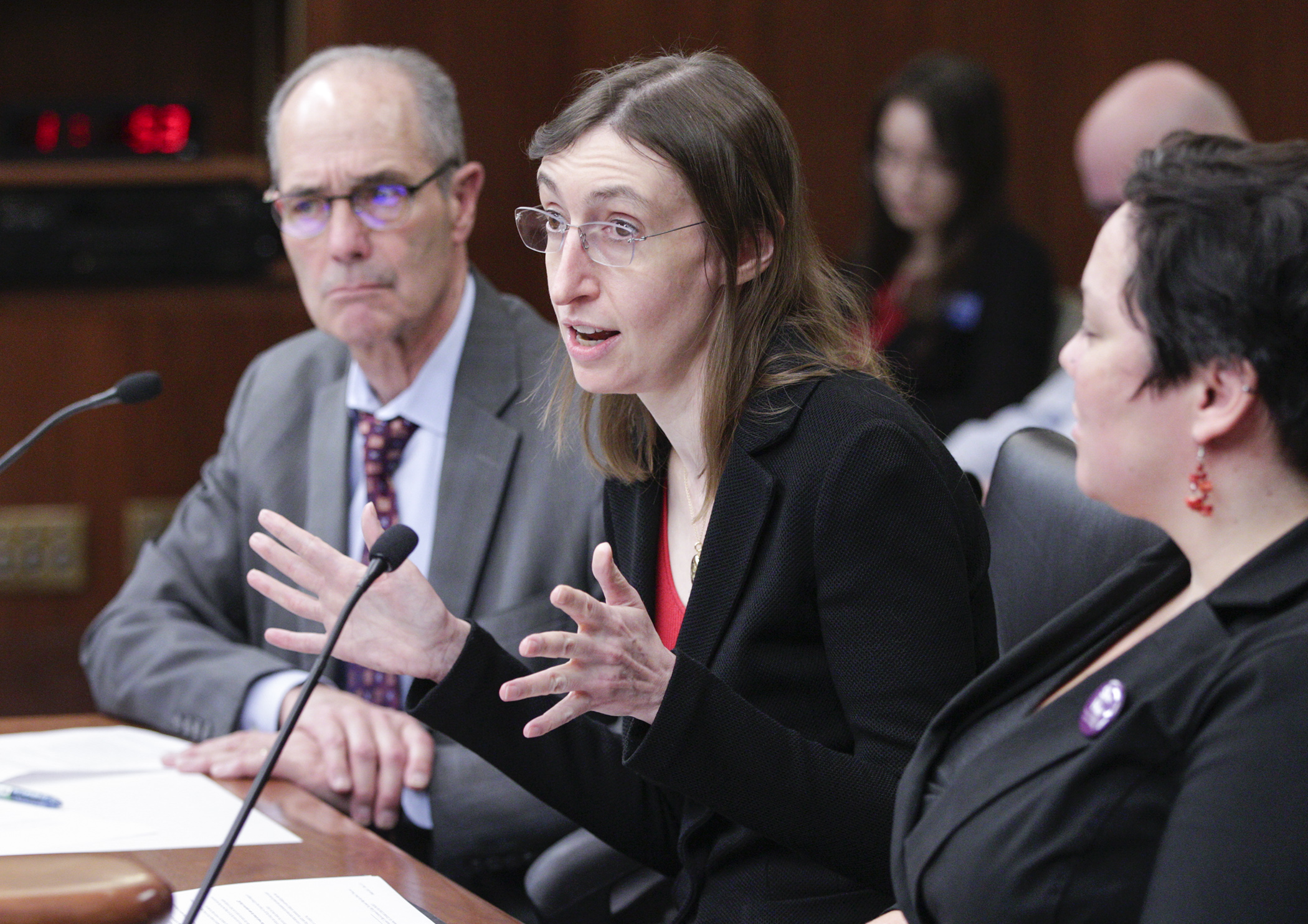 Jill Hasday, a professor at the University of Minnesota Law School, testifies March 12 before the House's judiciary and civil law division on HF4100. The bill would prohibit employers from inquiring about past pay. Photo by Paul Battaglia