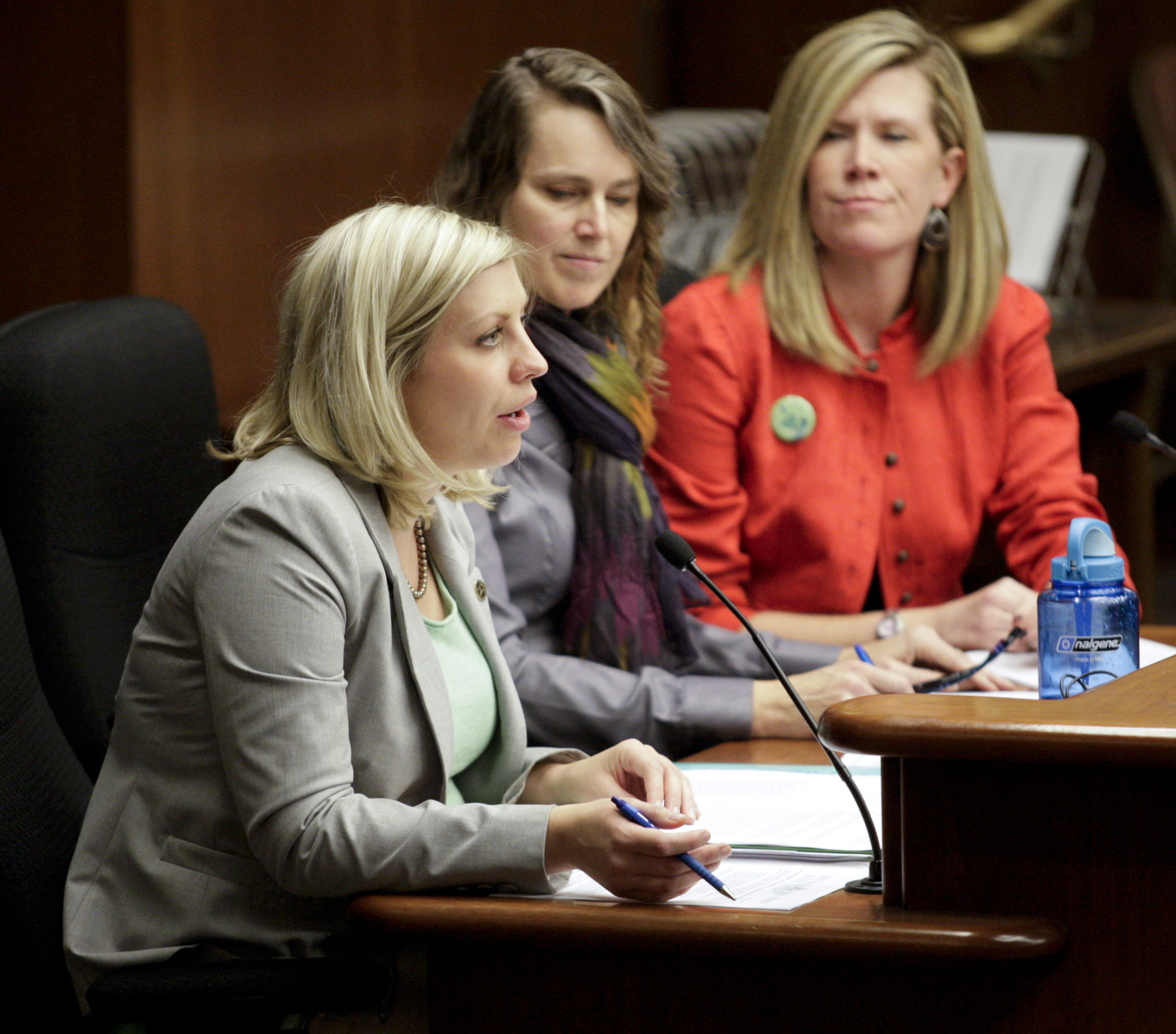 Rep. Carly Melin presents her bill, HF2536, the Women’s Economic Security Act, to the House Jobs and Economic Development Finance and Policy Committee March 20. With her are Debra Fitzpatrick, center, director of the Center on Women and Public Policy at the Humphrey School of Public Affairs, and Kim Borton, director of programs for the Women’s Foundation of Minnesota. Photo by Paul Battaglia