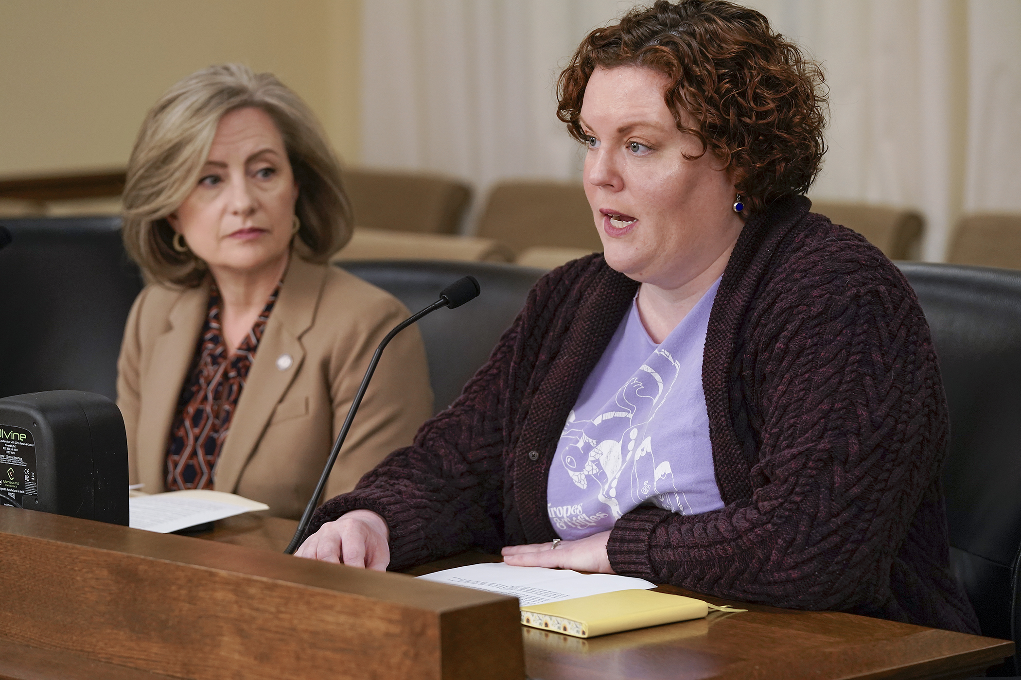 Lauren Richards, co-owner of independent bookstore Tropes & Trifles, testifies March 25 against HF2113 to exempt employers with 15 or fewer employees from the Minnesota Paid Leave Law. Rep. Kristin Robbins, left, is the sponsor. (Photo by Michele Jokinen)