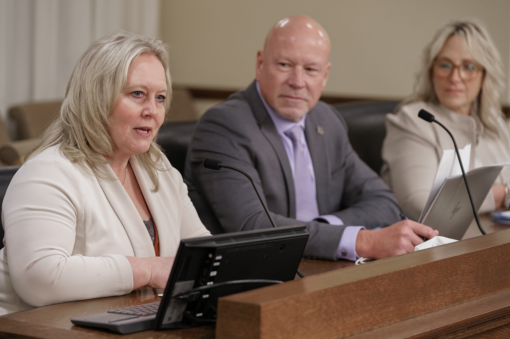 Tara Brandl, co-owner of Above the Fold Publishing and president of the Minnesota Newspaper Association, testifies March 26 before the House workforce committee in support of HF4072. (Photo by Michele Jokinen)