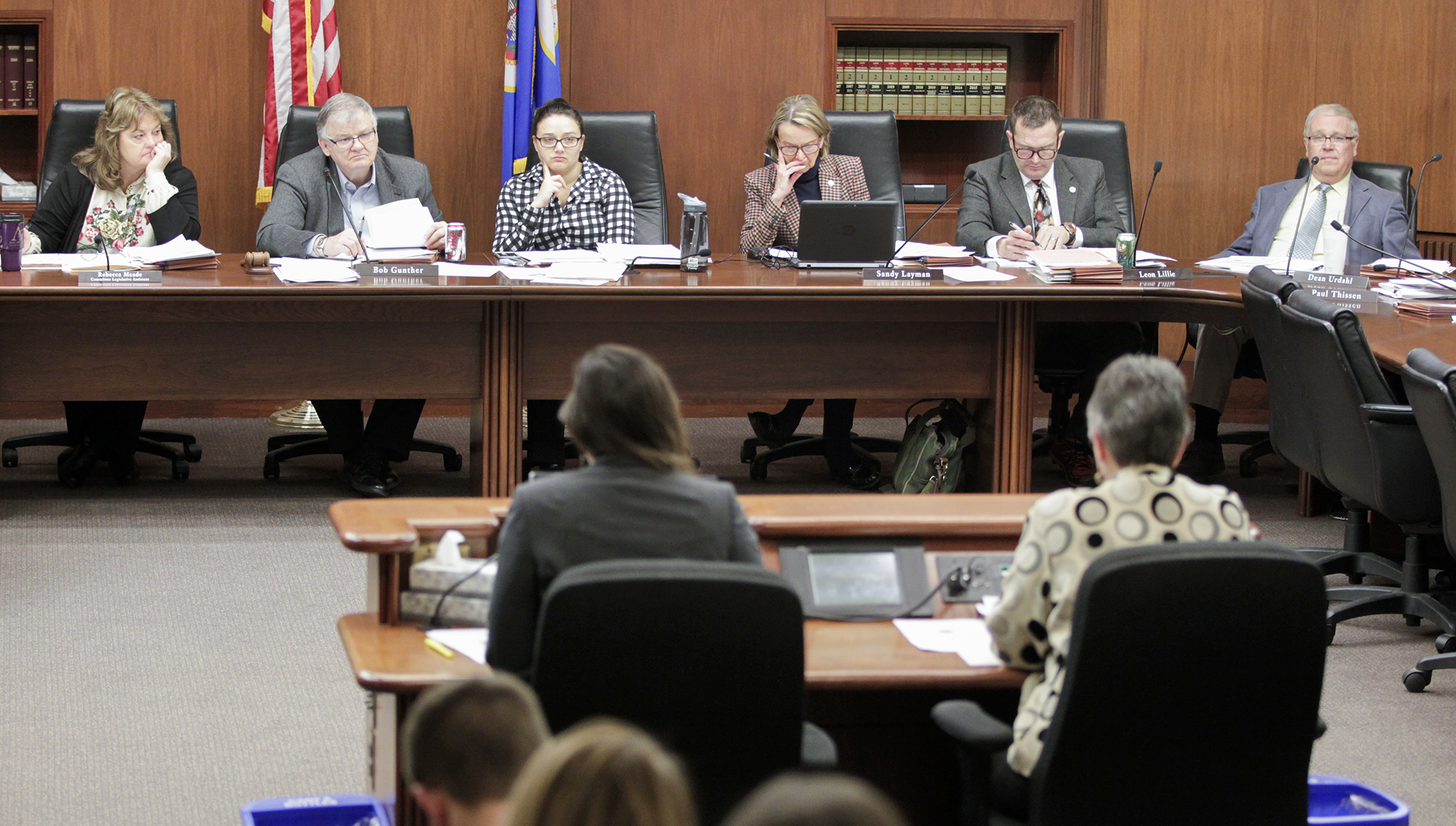 Members and staff of the House Legacy Funding Finance Committee listen as public testimony is given on the committee’s omnibus bill March 27. Photo by Paul Battaglia