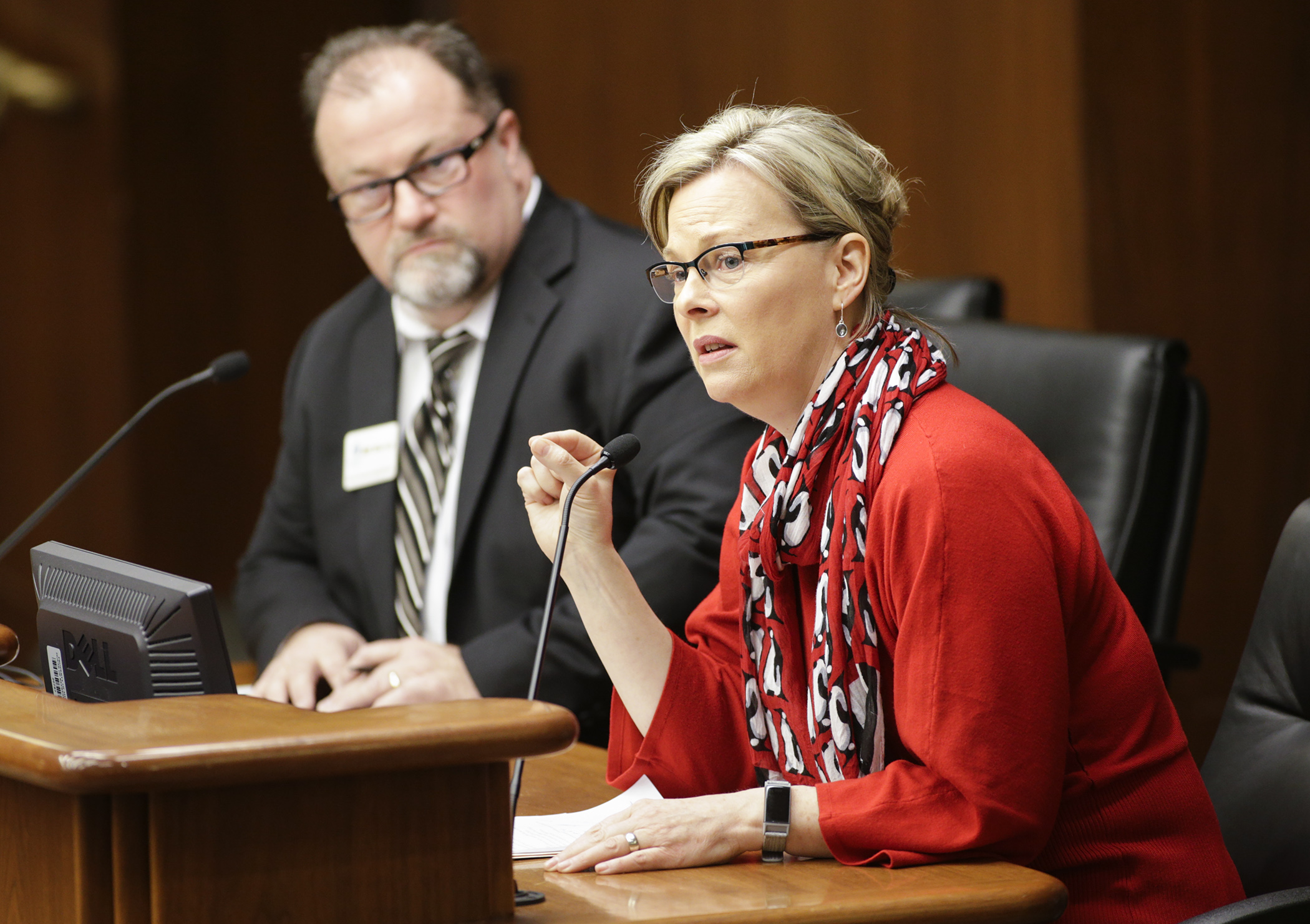 Rep. Julie Sandstede makes closing comments during testimony in the House Education Finance Division on HF882, a bill she sponsors that would, in part, make changes to the general education basic funding formula. Photo by Paul Battaglia