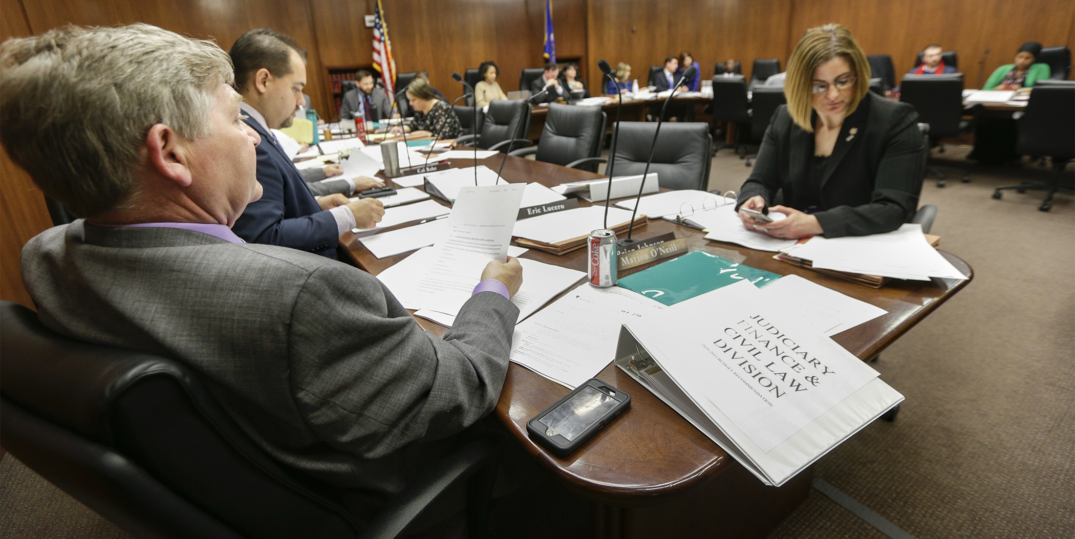 Members of the House Judiciary Finance and Civil Law Division take up amendments to HF2705, before approving the omnibus bill April 9. Photo by Paul Battaglia