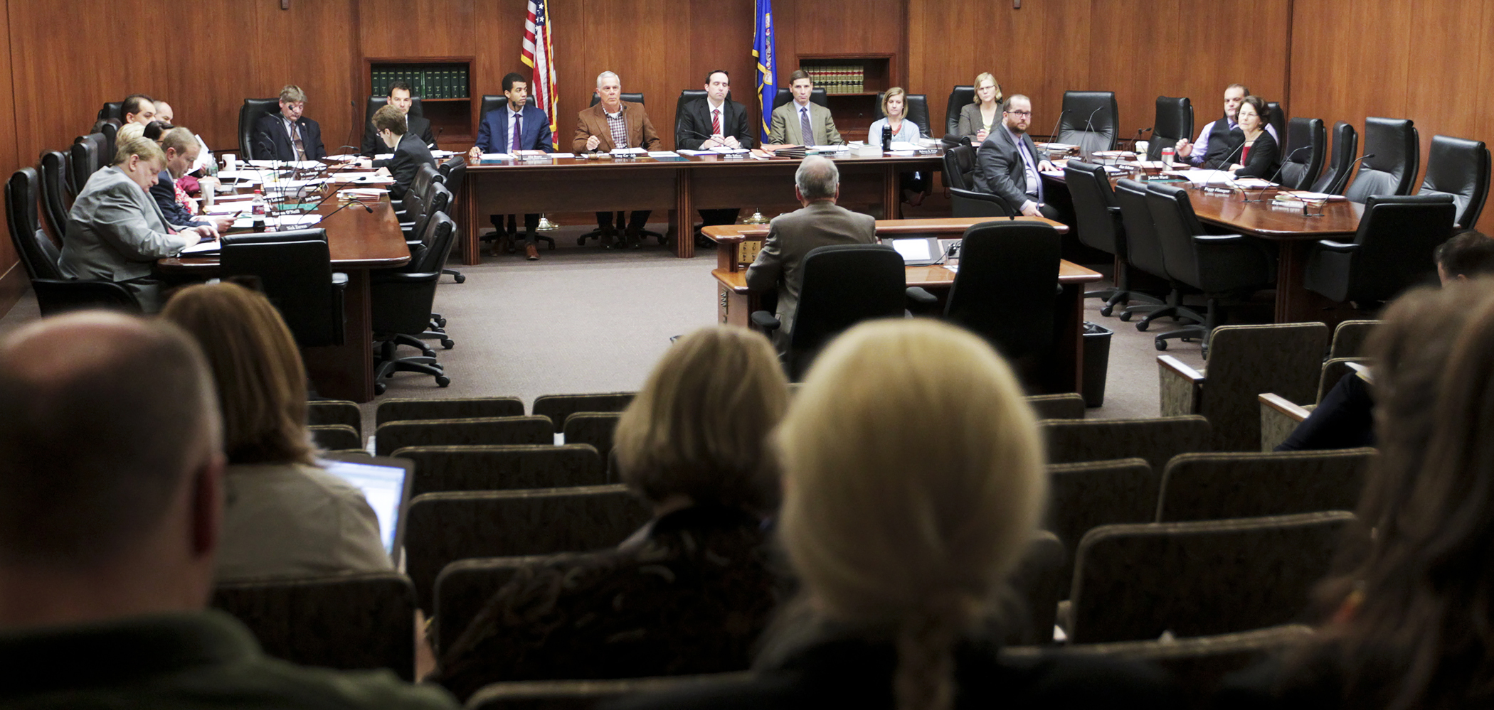 The House Public Safety and Crime Prevention Policy and Finance Committee listens to testimony from Corrections Commissioner Tom Roy during its omnibus bill discussion April 14. Photo by Paul Battaglia