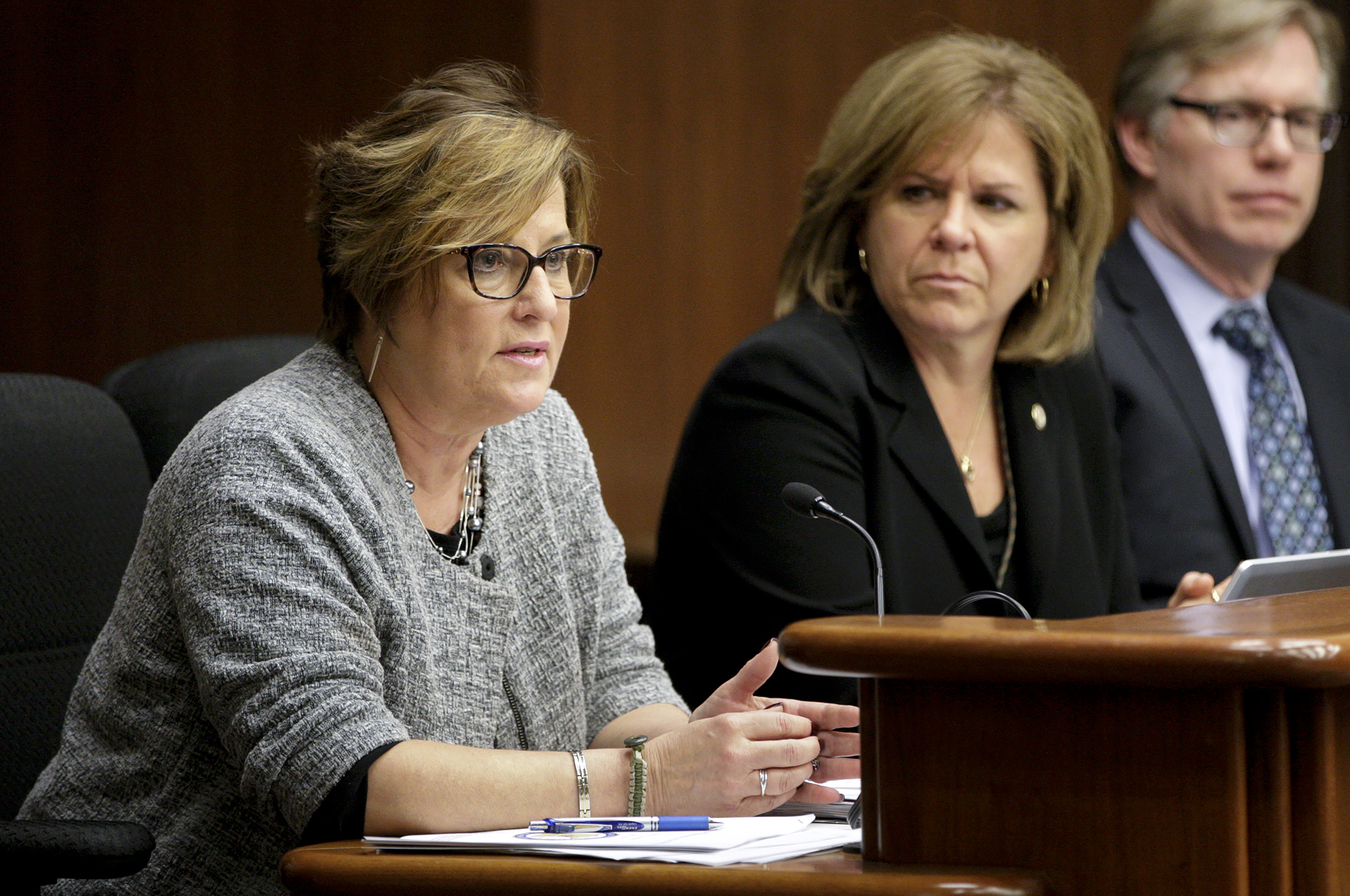 Dawn Olson, director of driver and vehicle services for the Department of Public Safety, answers a question during a joint meeting of the House Civil Law and Data Practices and the House Transportation Policy and Finance committees April 15 on the department’s report on Real ID. Public Safety Commissioner Mona Dohman and Public Safety CIO Paul Meekin look on. Photo by Paul Battaglia