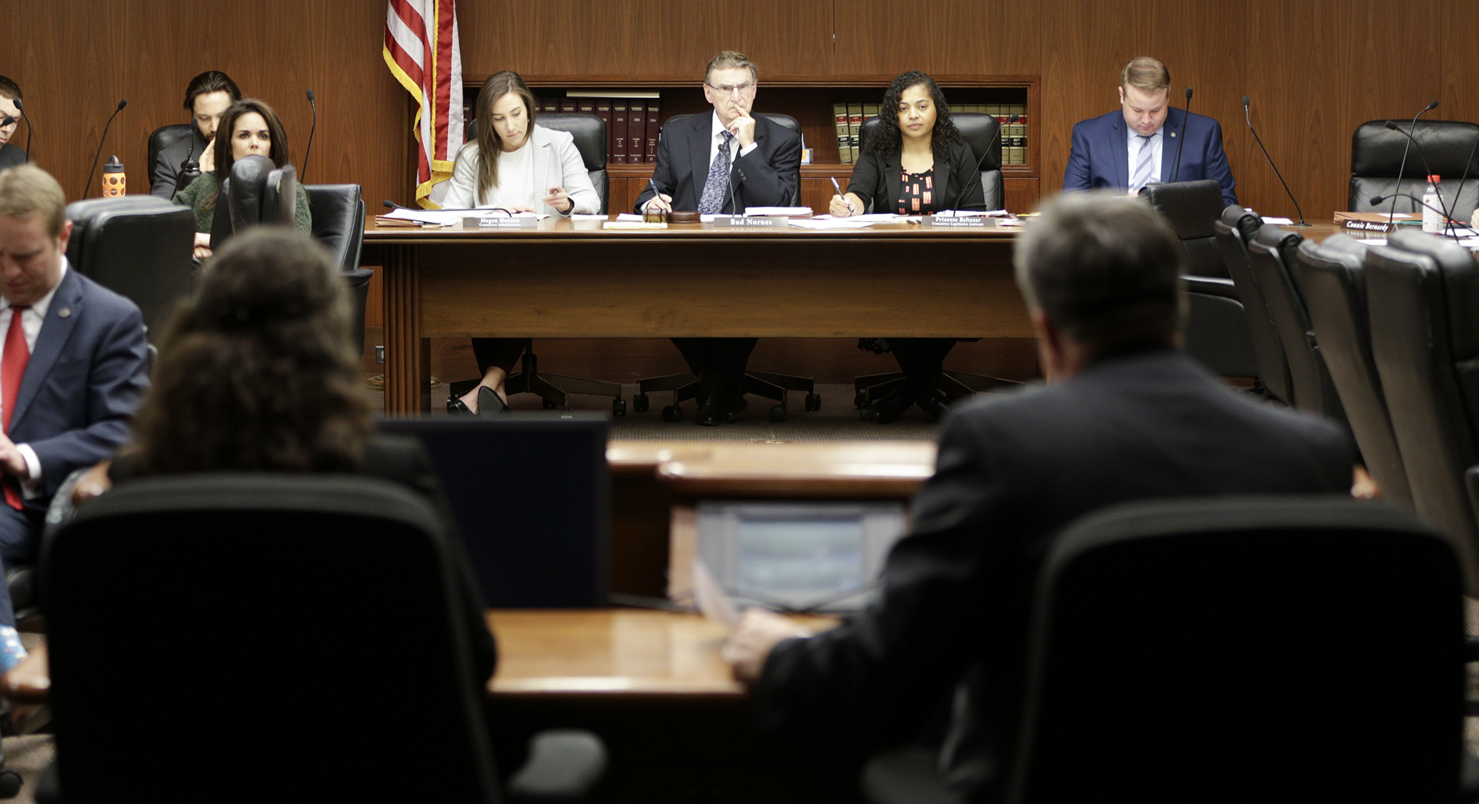 Rep. Bud Nornes, center, chair of the House Higher Education and Career Readiness Policy and Finance Committee, listens as the committee takes public testimony on HF3638, the omnibus higher education finance bill April 18. Photo by Paul Battaglia