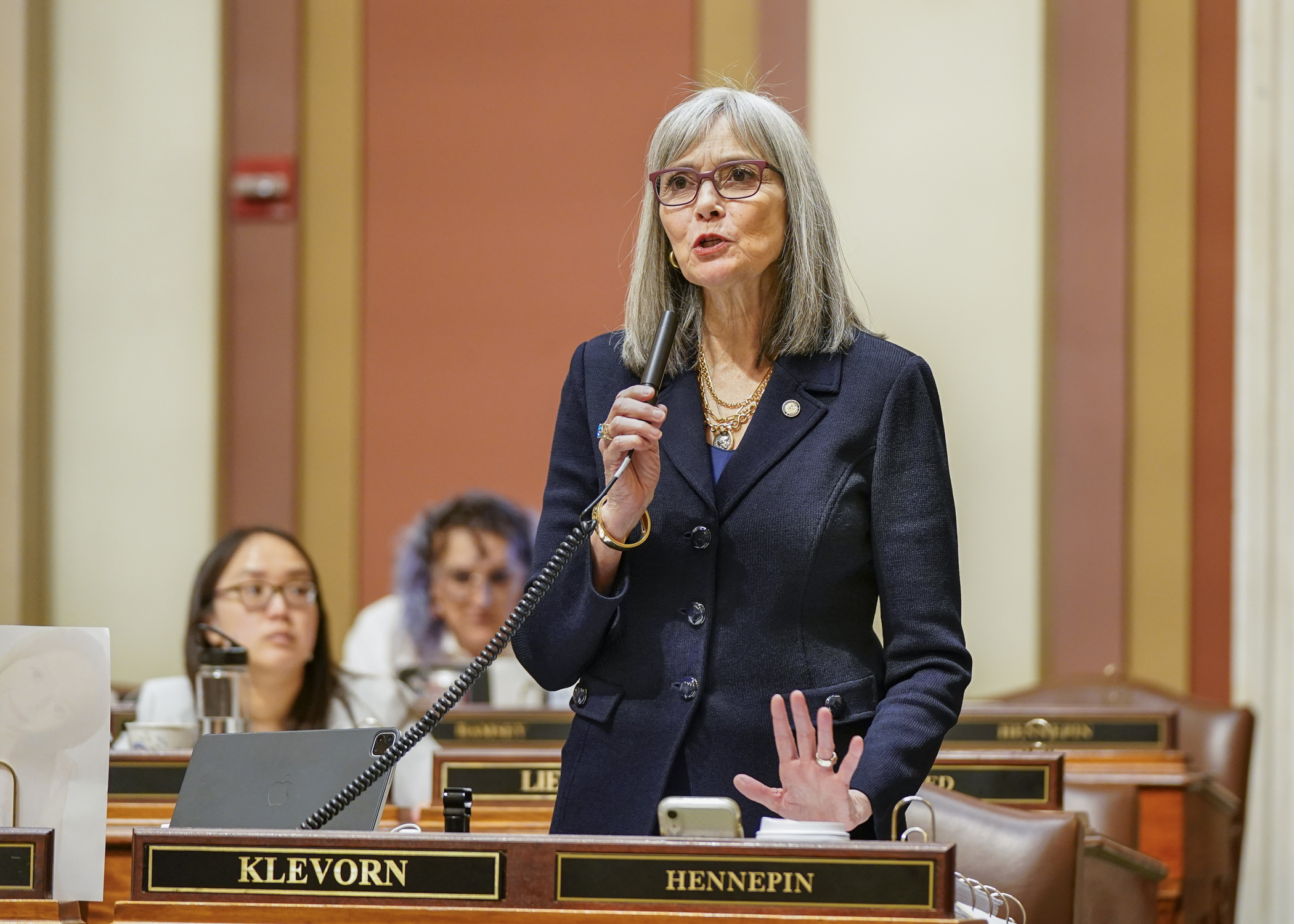 Rep. Ginny Klevorn introduces HF1830, the state government and elections finance bill, on the House Floor April 18. (Photo by Catherine Davis)