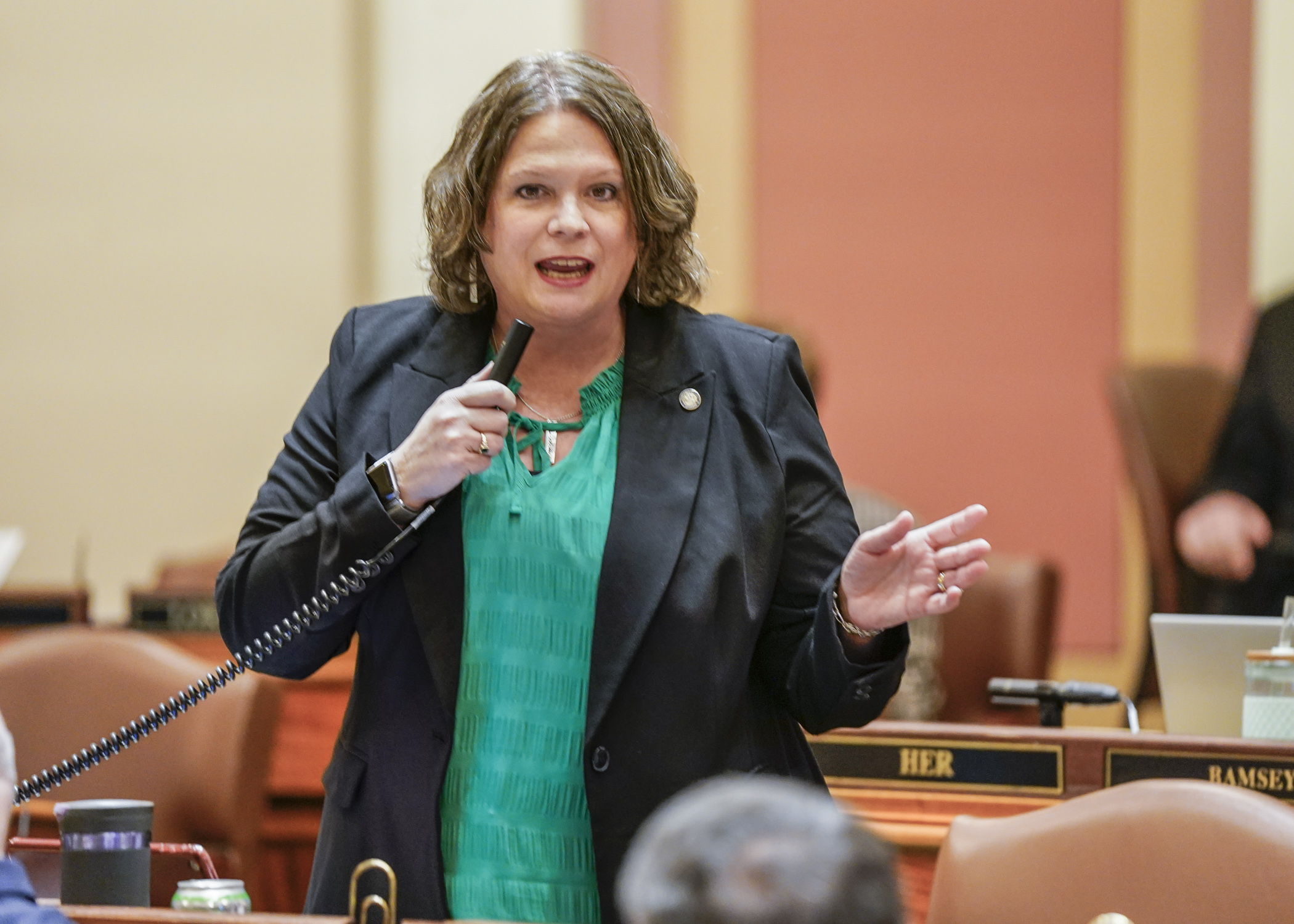 Rep. Cheryl Youakim introduces the omnibus education finance bill, HF2497, on the House Floor April 20. (Photo by Catherine Davis)