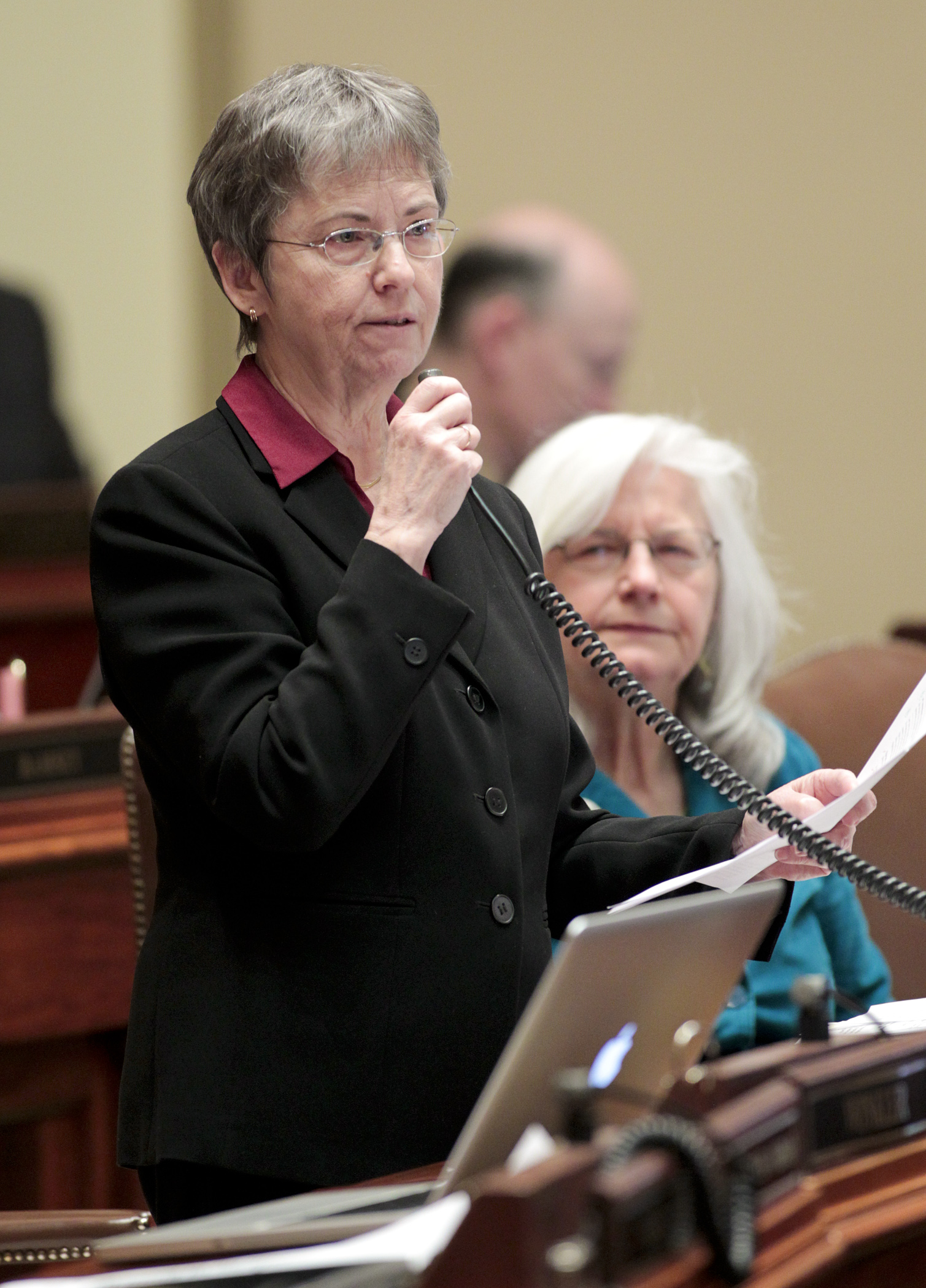 Rep. Carolyn Laine explains provisions of her bill, HF2166, which would extend a study of the use of electronic rosters in polling places to include the 2014 general election in select jurisdictions. Photo by Paul Battaglia
