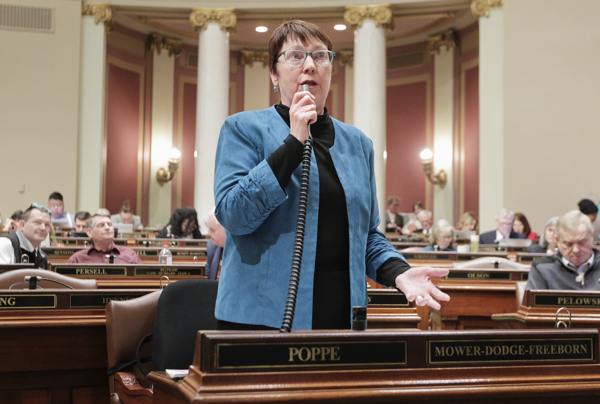 Rep. Jeanne Poppe, chair of the House Agriculture and Food Finance and Policy Division, describes provisions of the omnibus agriculture, food and housing finance bill during the April 26 floor debate. Photo by Paul Battaglia