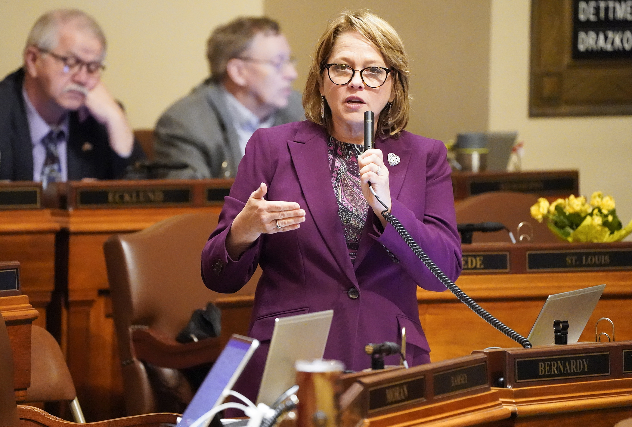 Rep. Connie Bernardy, chair of the House Higher Education Finance and Policy Committee, makes closing comments on HF3872, the omnibus higher education supplemental finance and policy bill April 29. (Photo by Paul Battaglia)