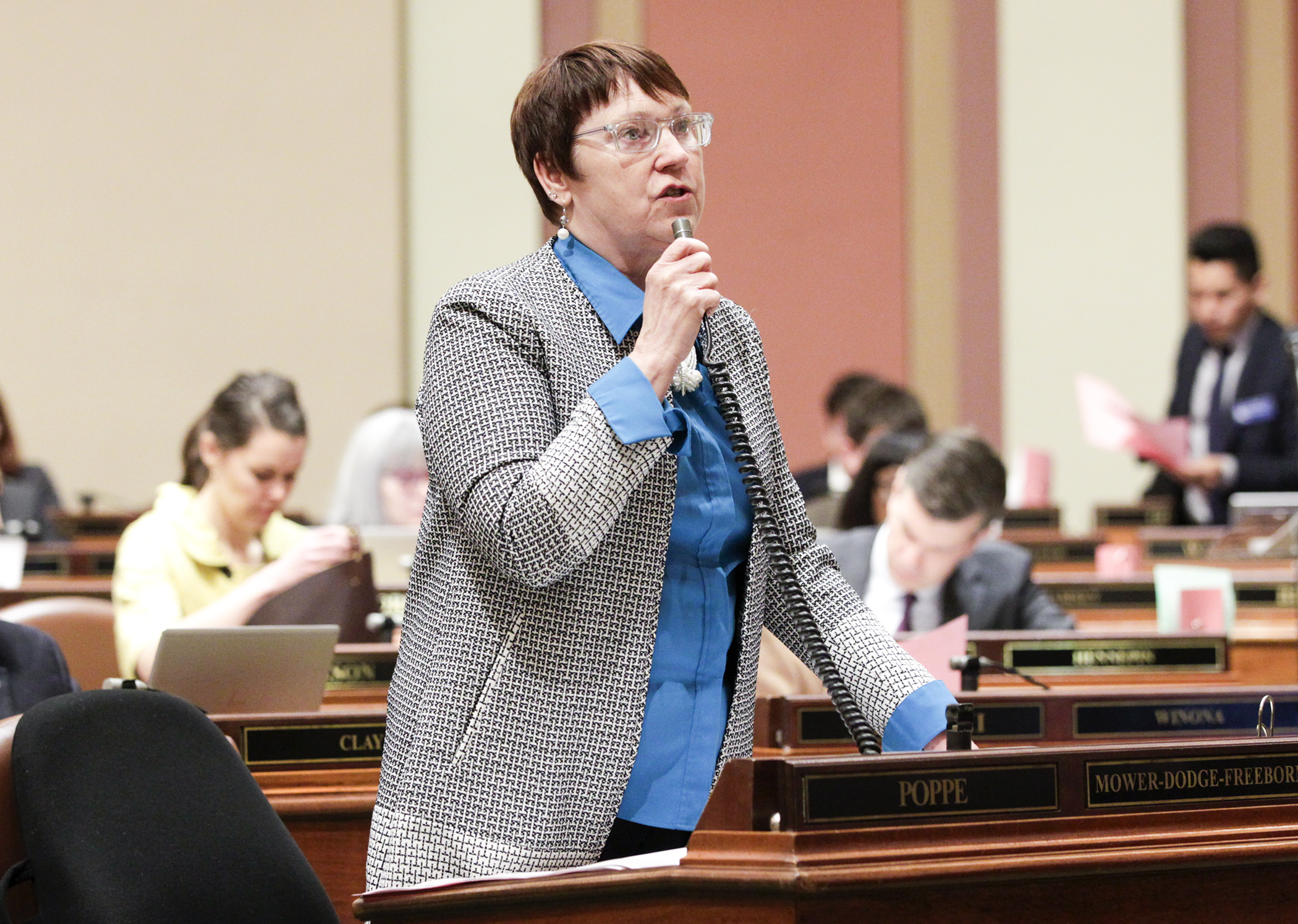 Rep. Jeanne Poppe, chair of the House Agriculture and Food Finance and Policy Division, describes provisions of HF1733, the omnibus agriculture policy bill, on May 1. Photo by Paul Battaglia