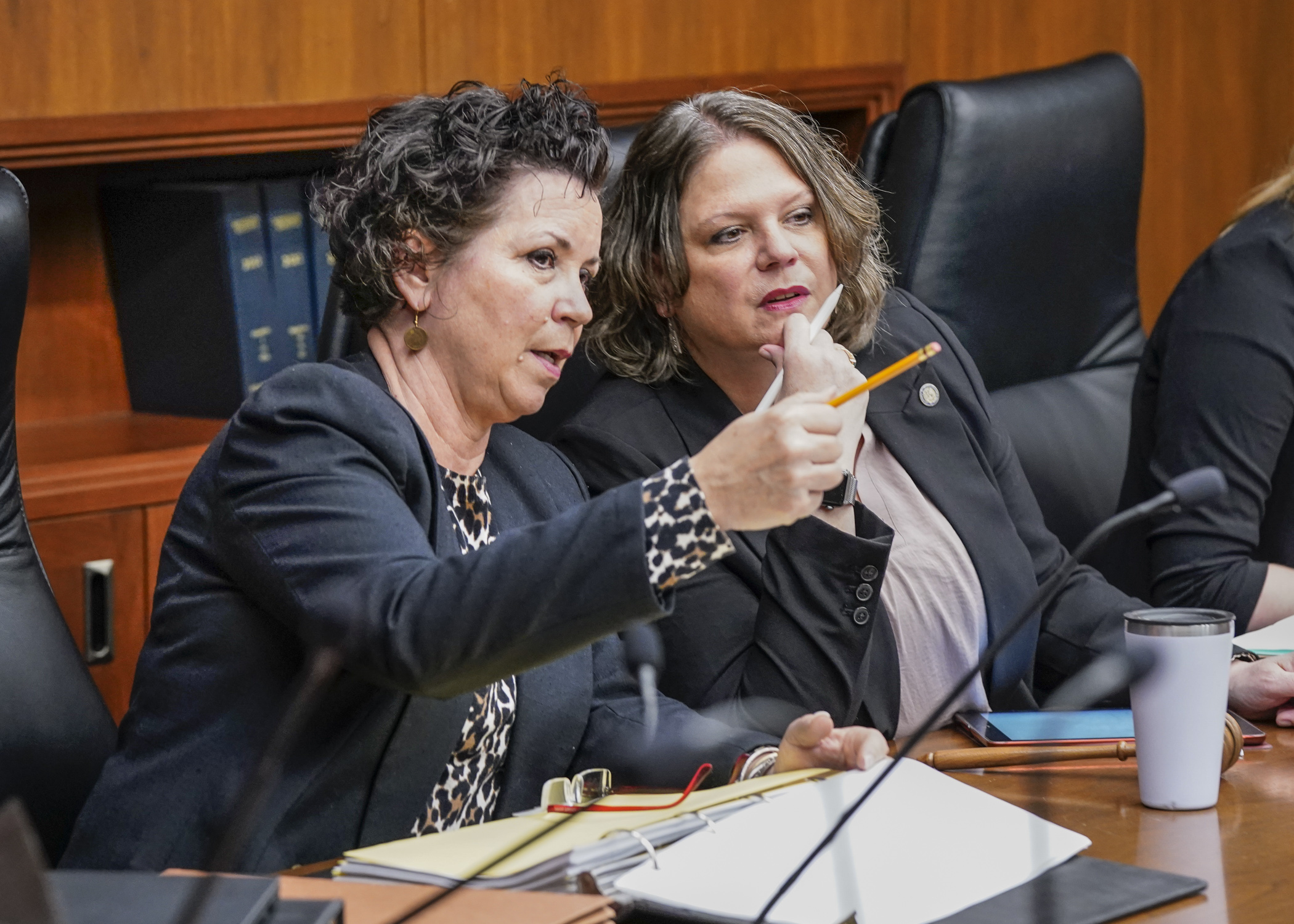 Sen. Mary Kunesh and Rep. Cheryl Youakim discuss the day’s procedures before gaveling in the conference committee on the omnibus education finance bill May 1. (Photo by Catherine Davis)